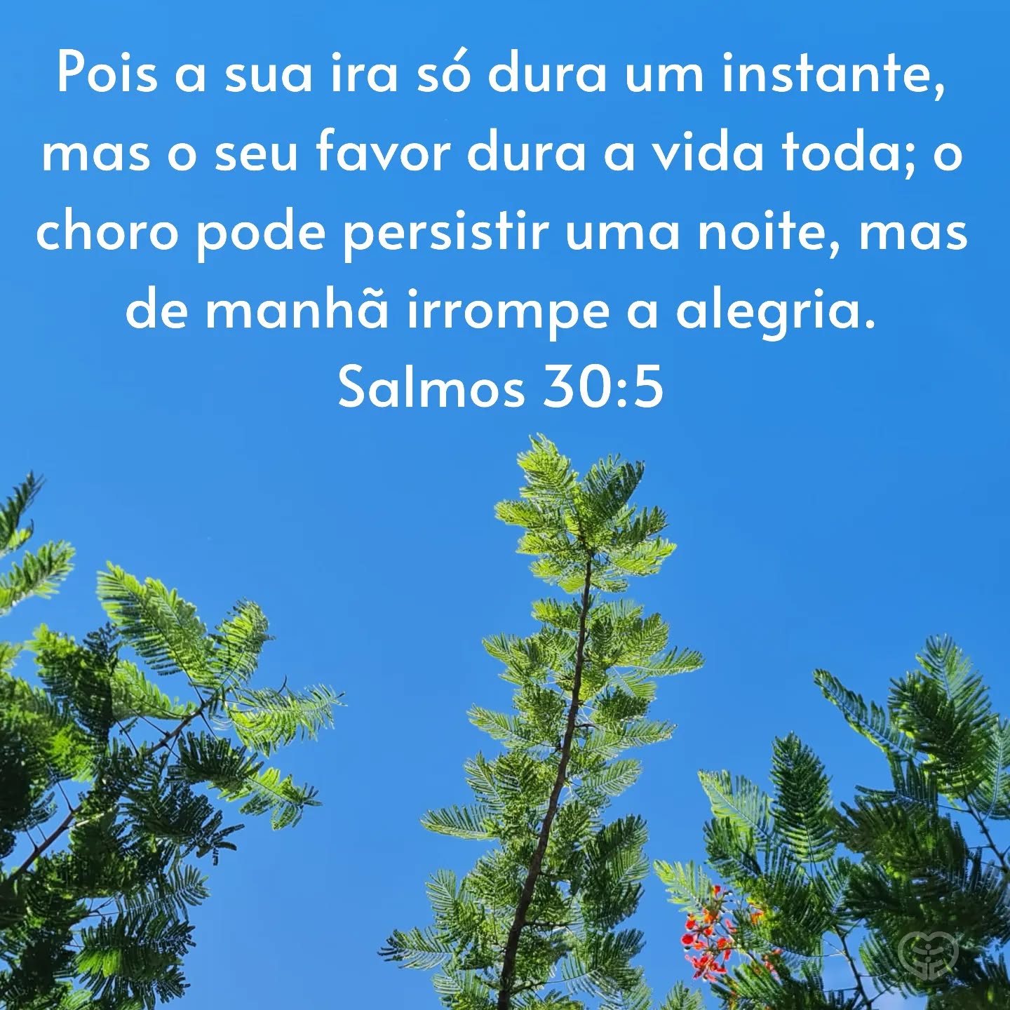 Salmos 30:5