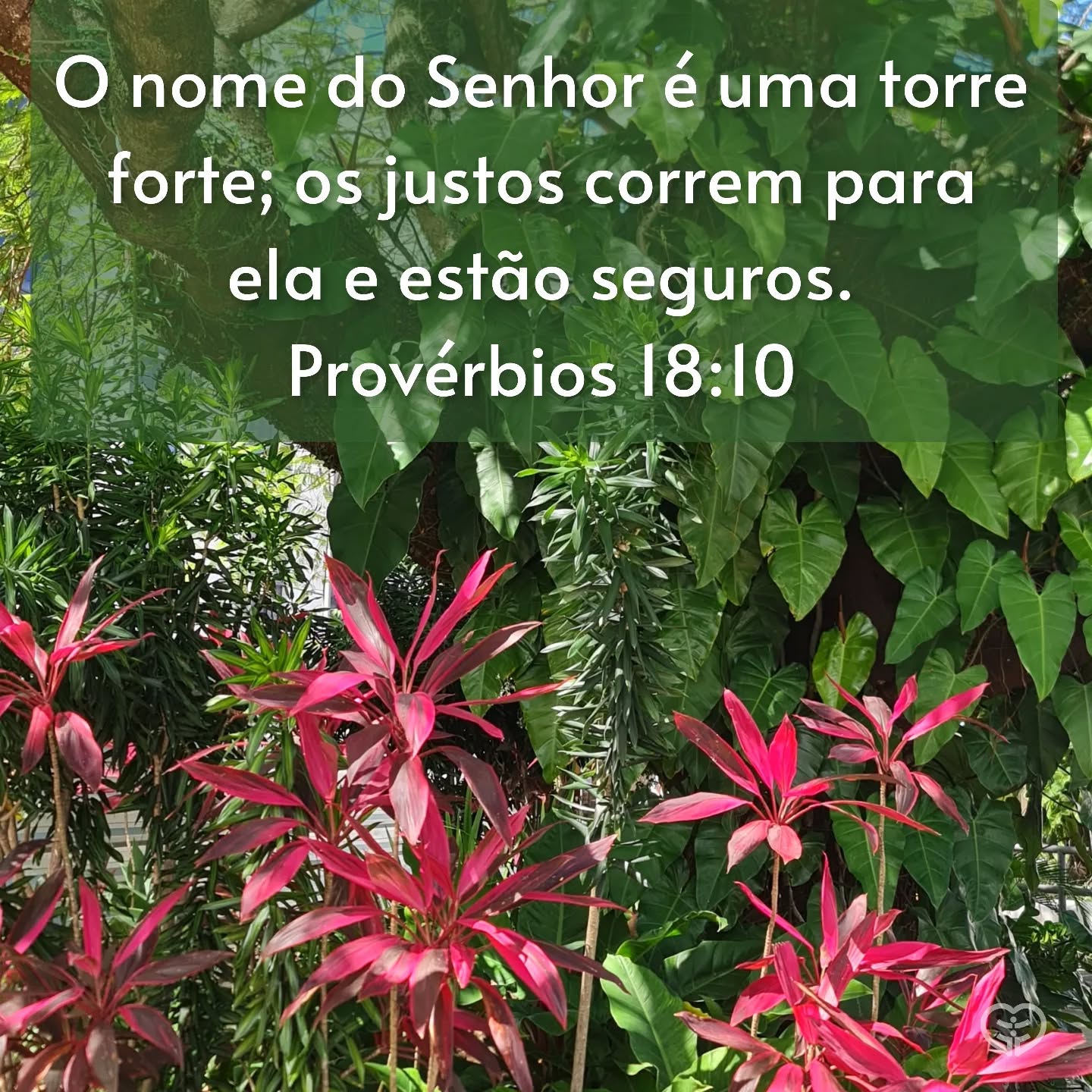 Provérbios 18:10