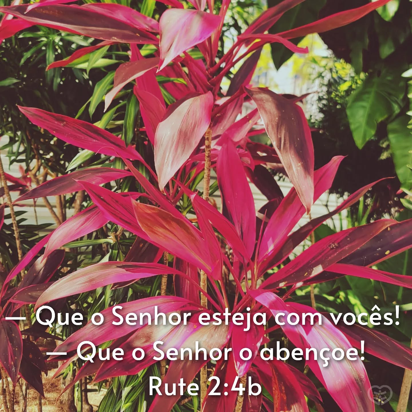 Palavra para 13 de setembro de 2023