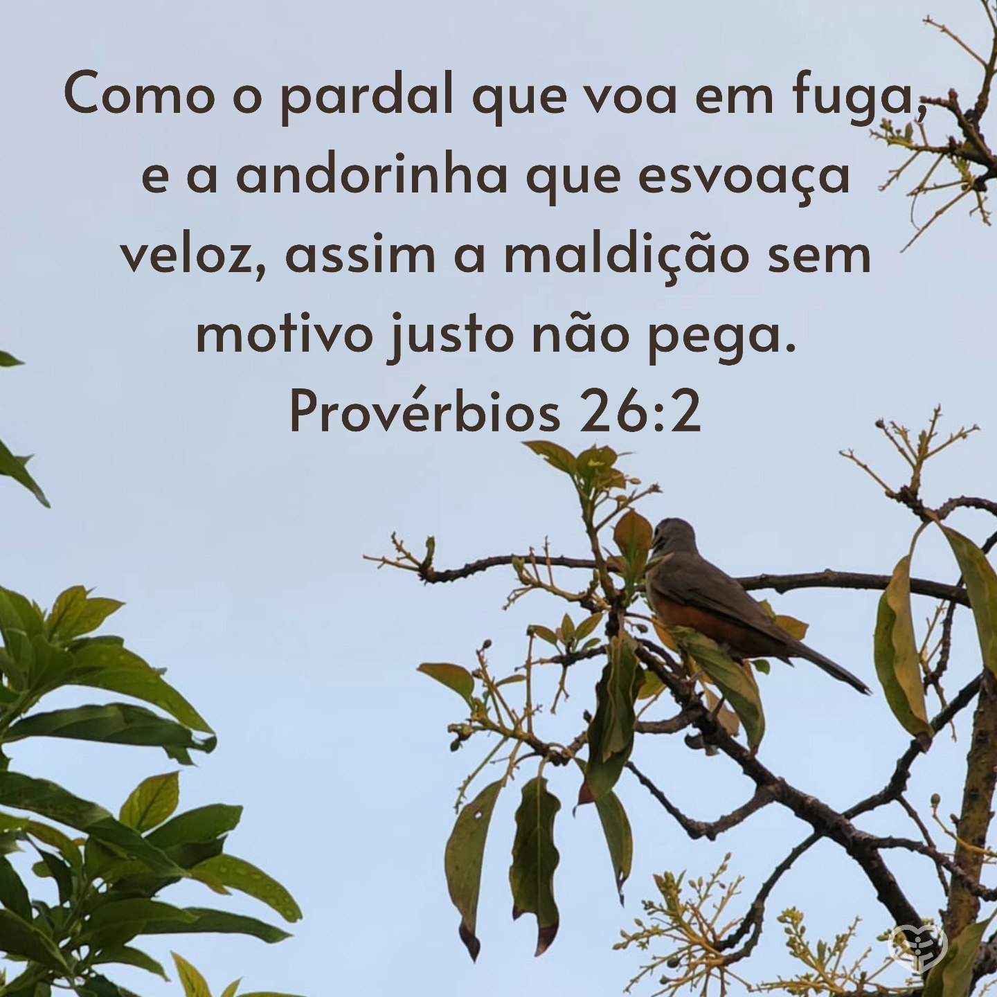 Provérbios 26:2