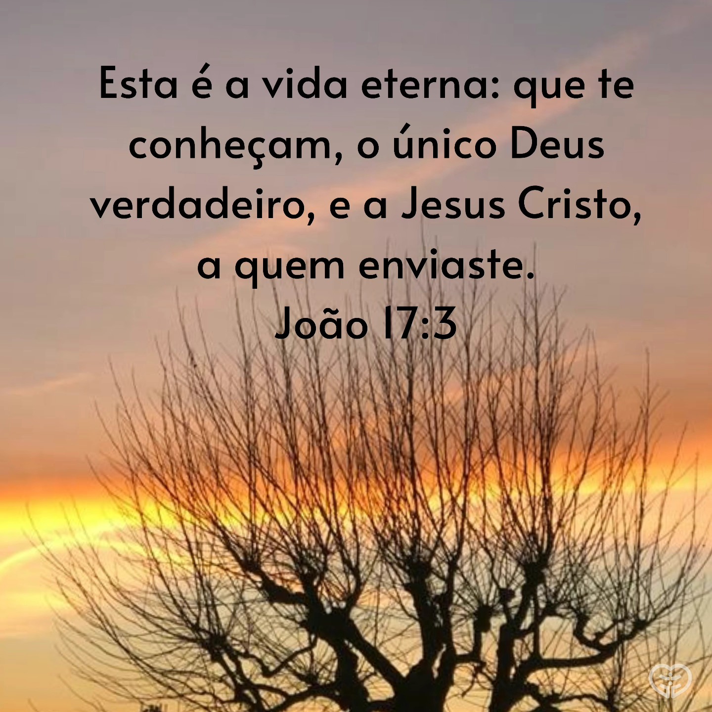 João 17:3