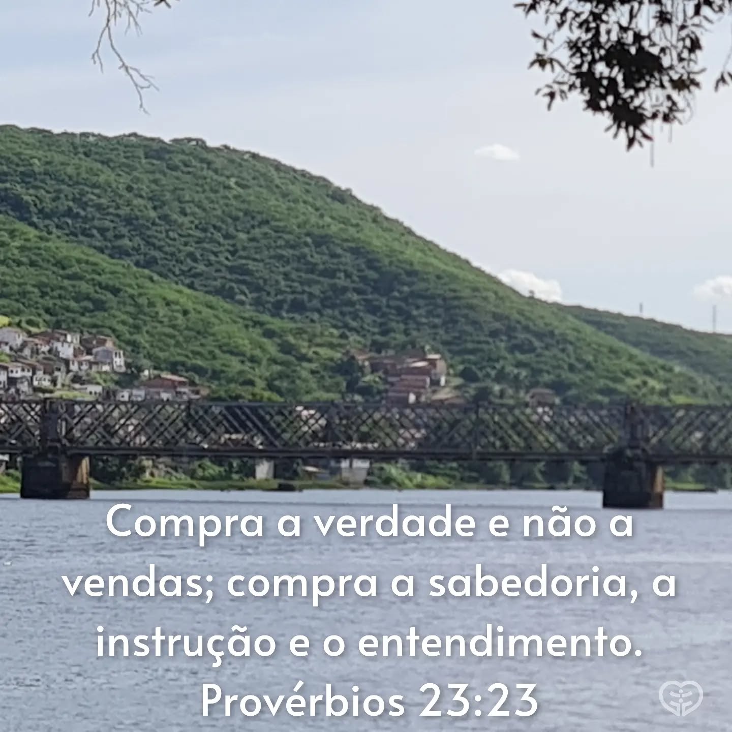 Provérbios 23:23