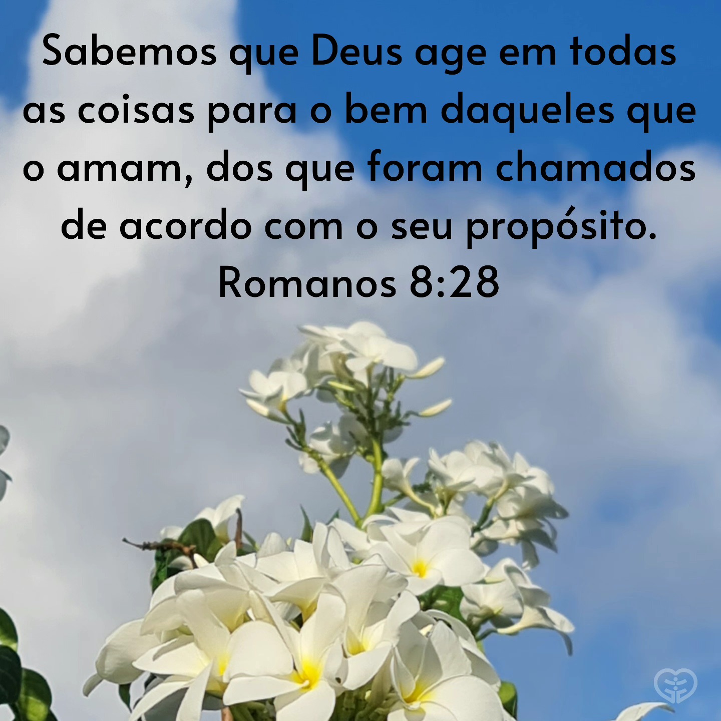 Romanos 8:28