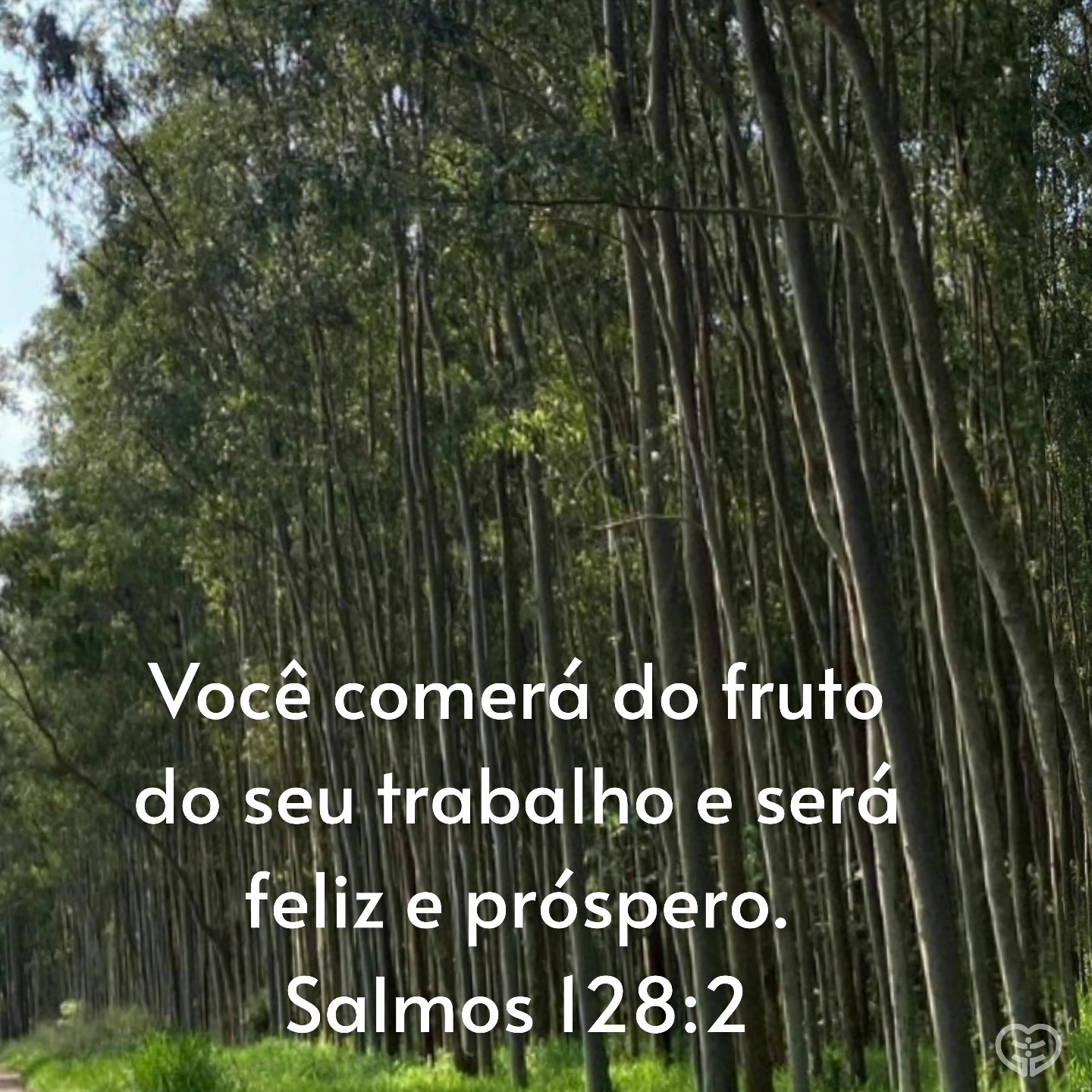 Salmos 128:2