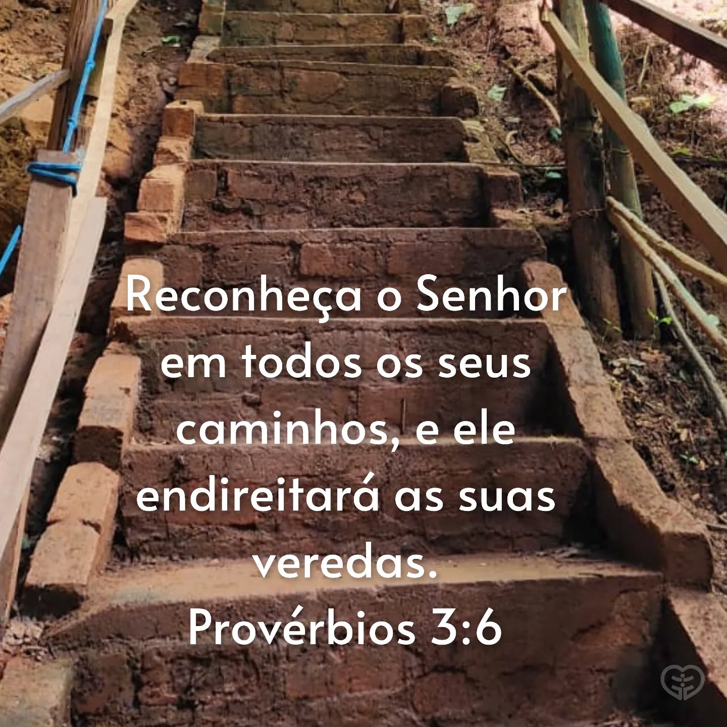 Provérbios 3:6