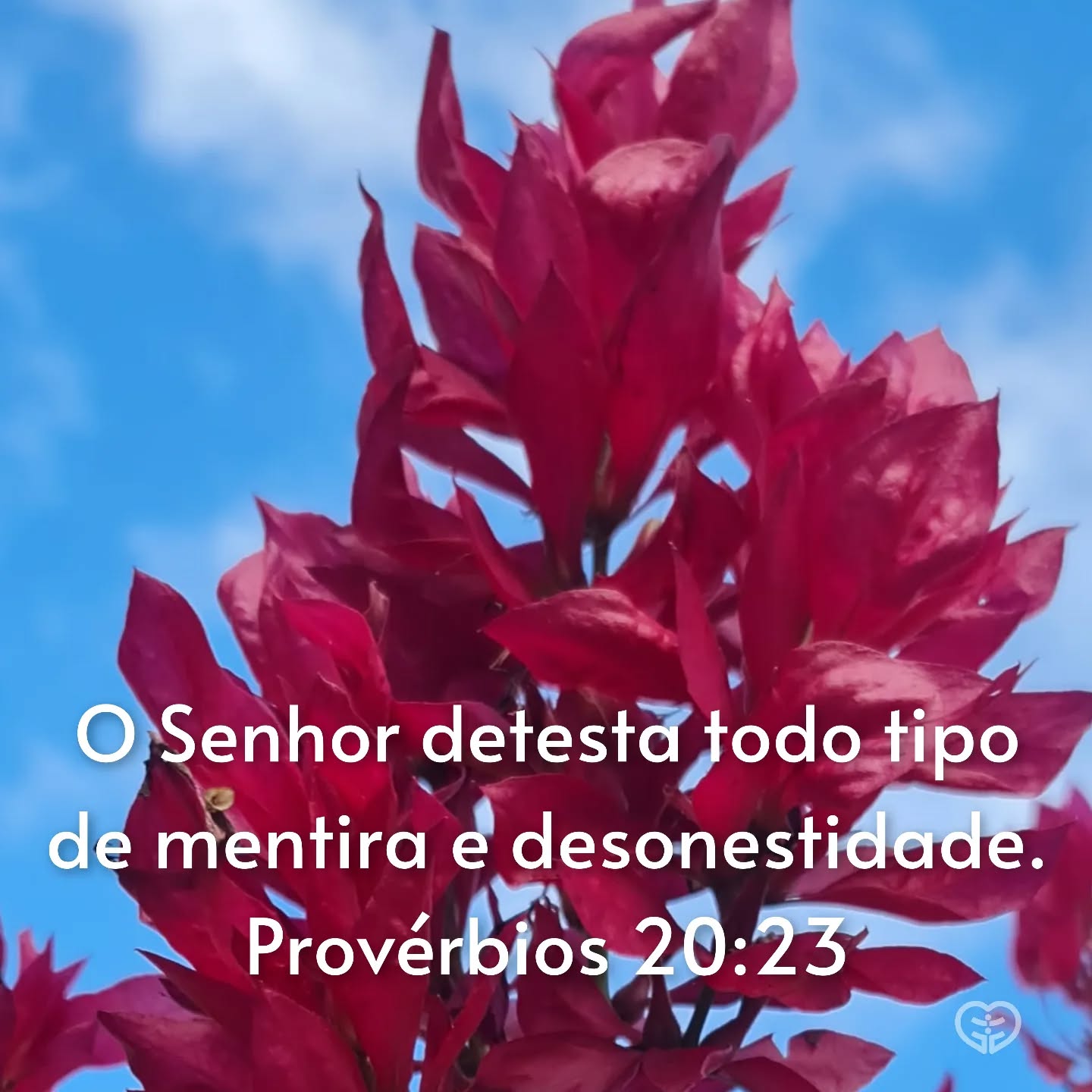 Provérbios 20:23