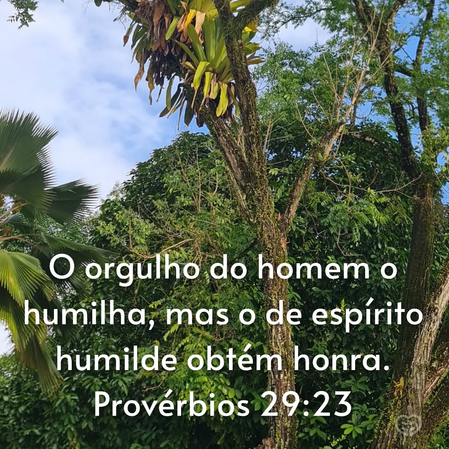 Provérbios 29:23
