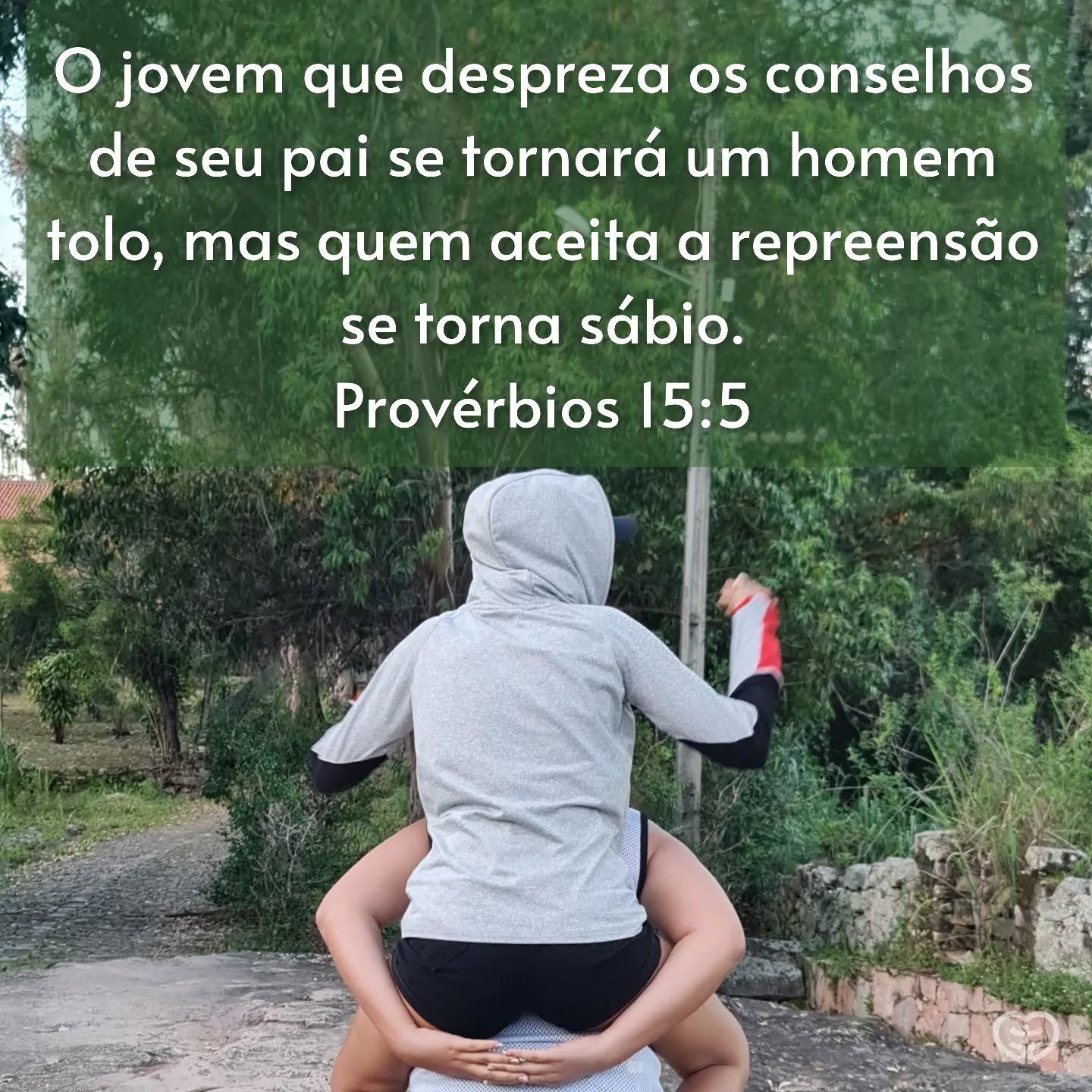 Provérbios 15:5