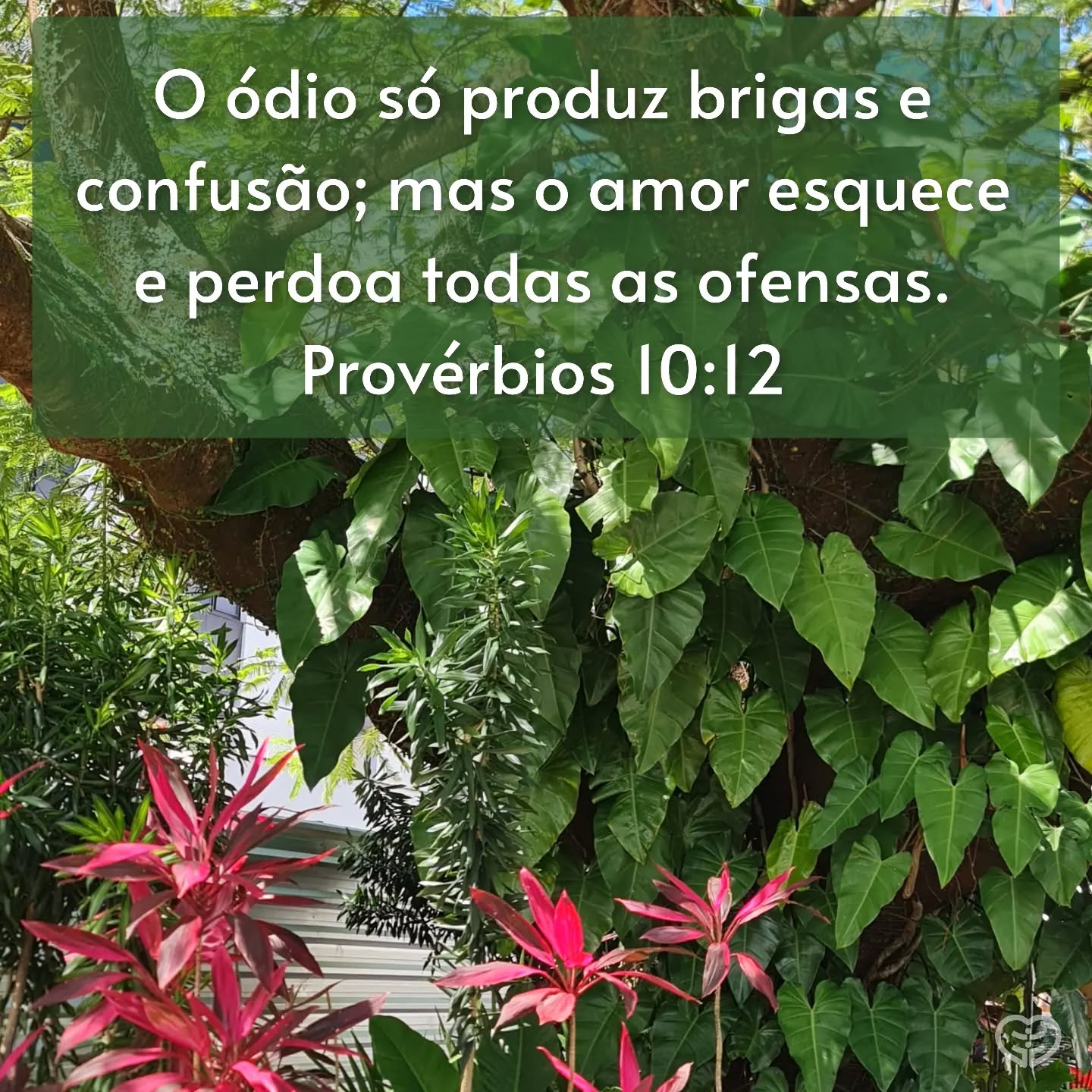 Provérbios 10:12