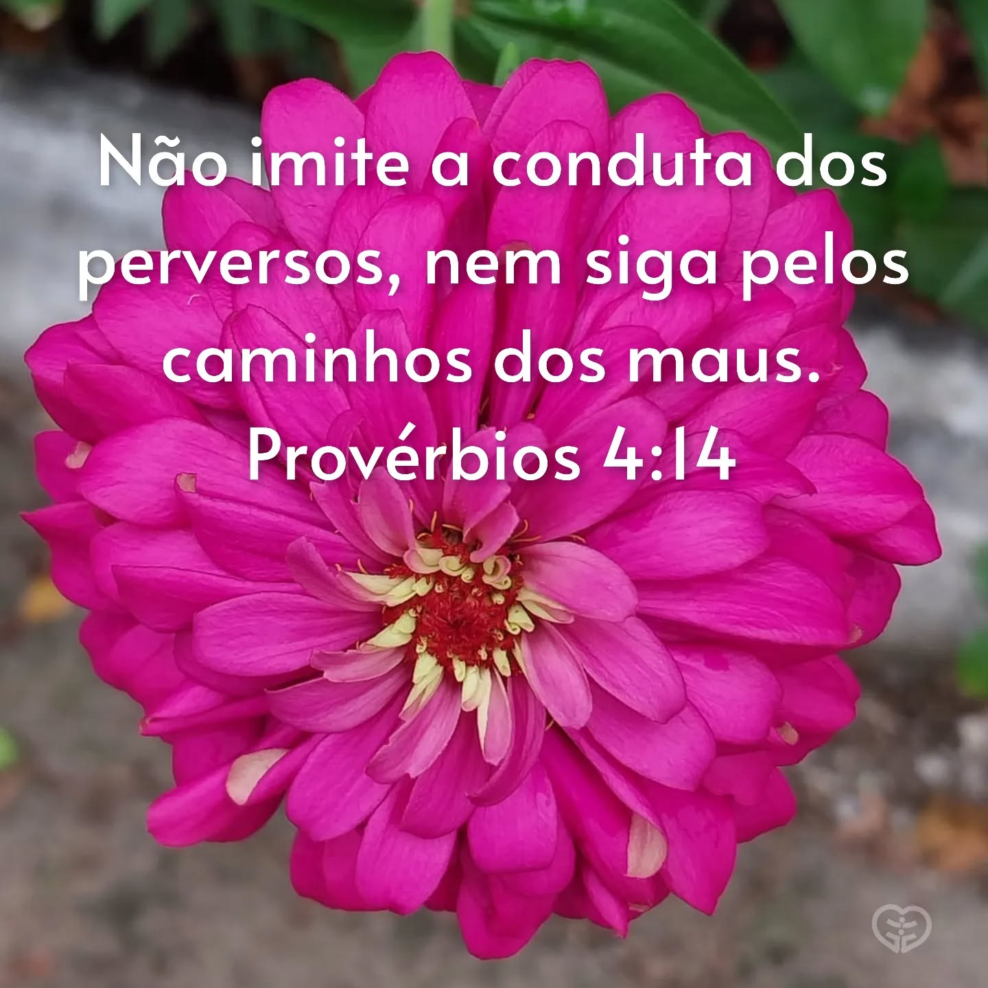 Provérbios 4:14