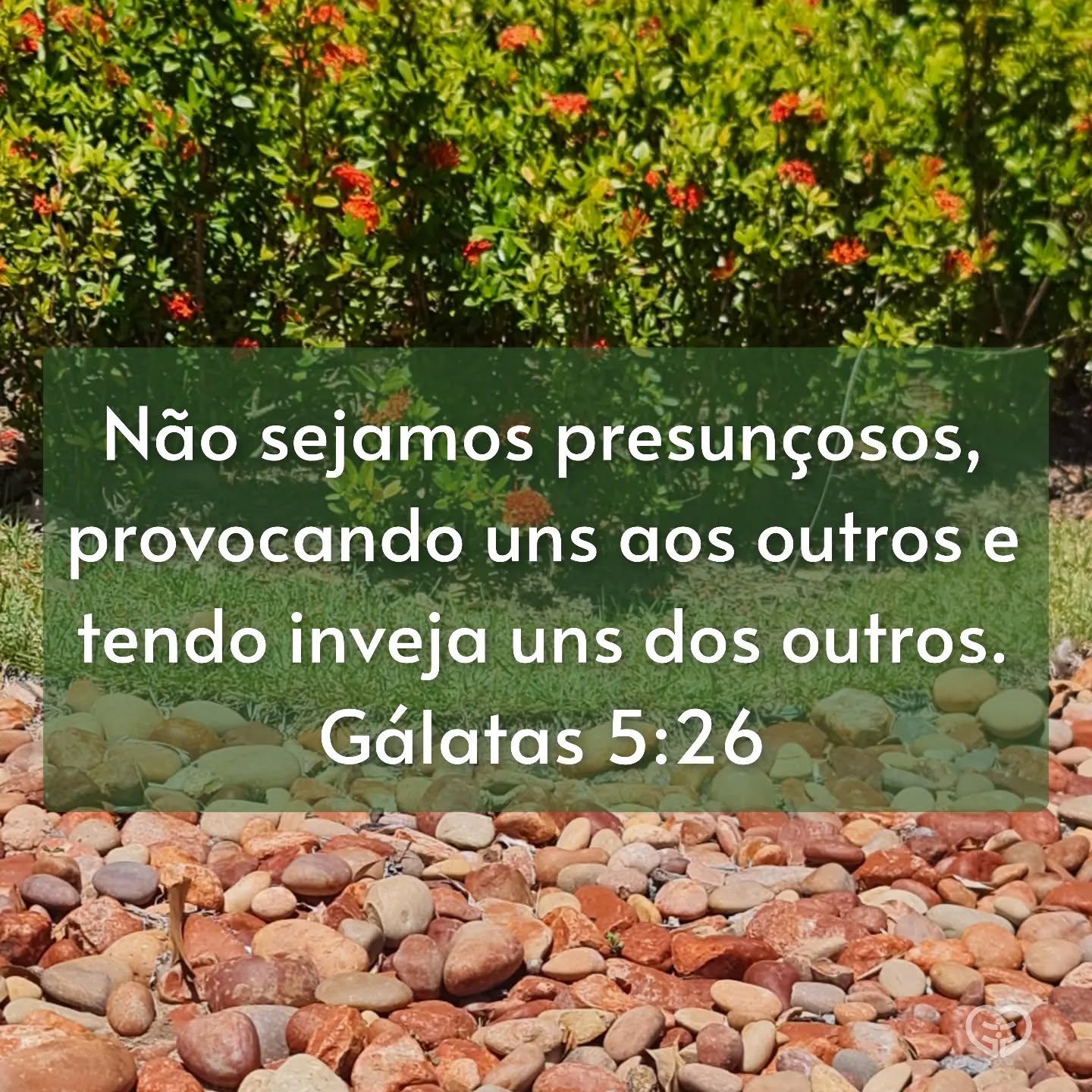 Gálatas 5:26