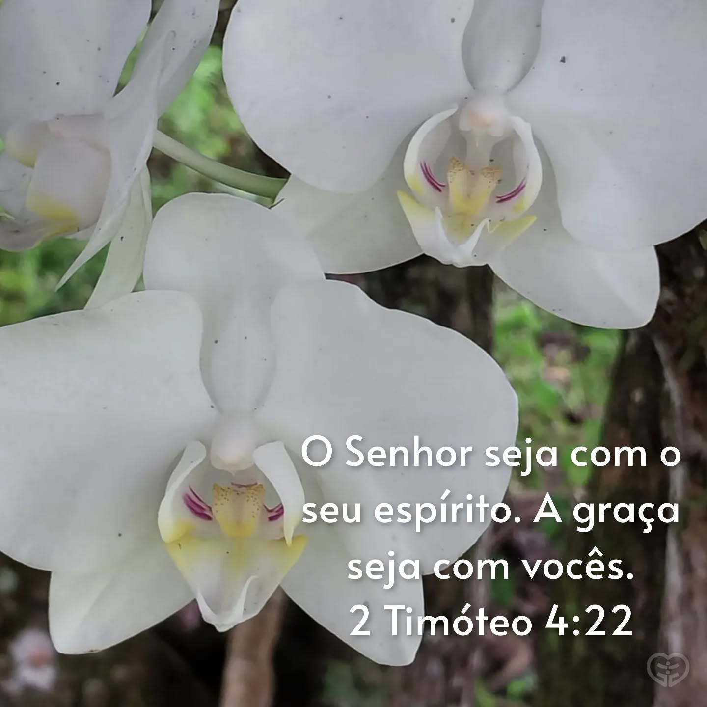 2 Timóteo 4:22