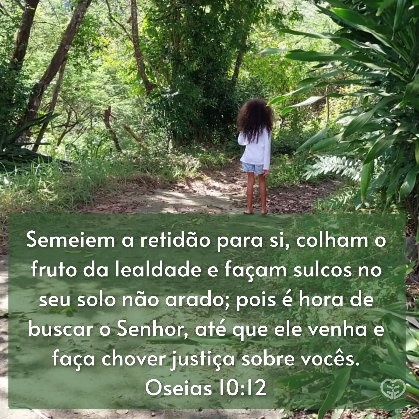 Oseias 10:12