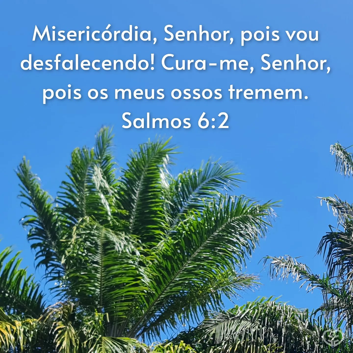 Salmos 6:2