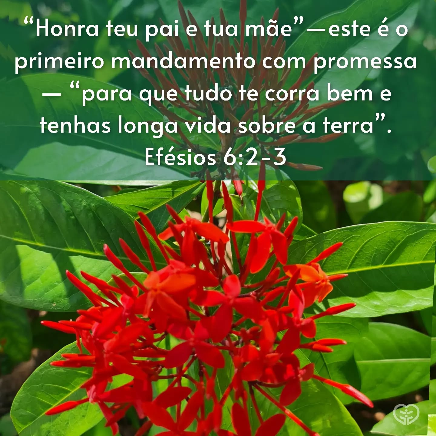 Efésios 6:2-3