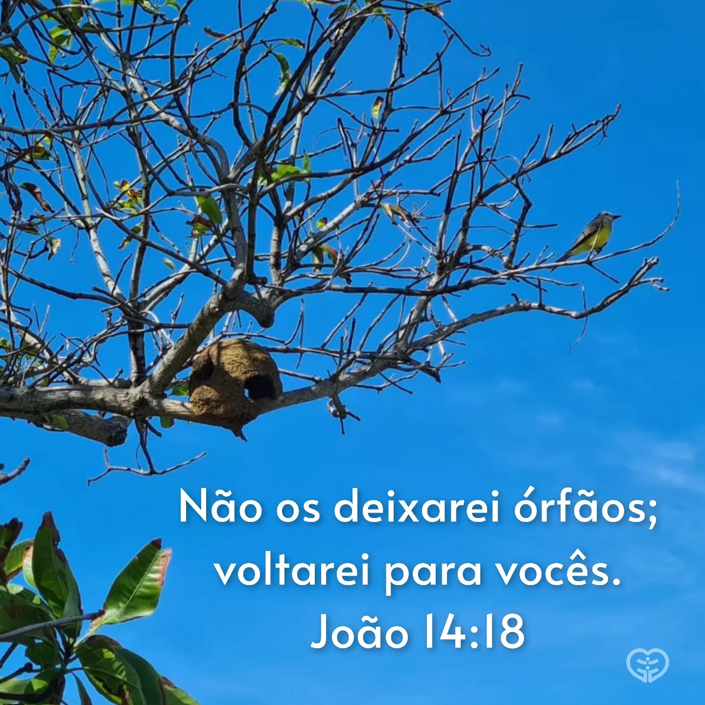 João 14:18