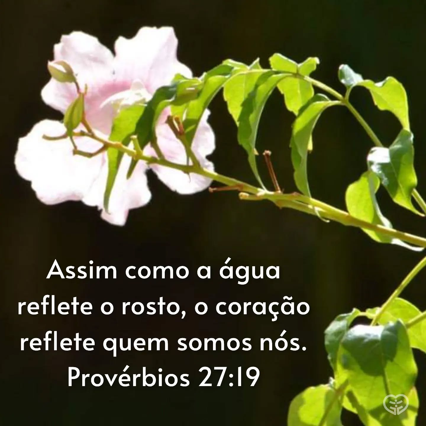 Provérbios 27:19