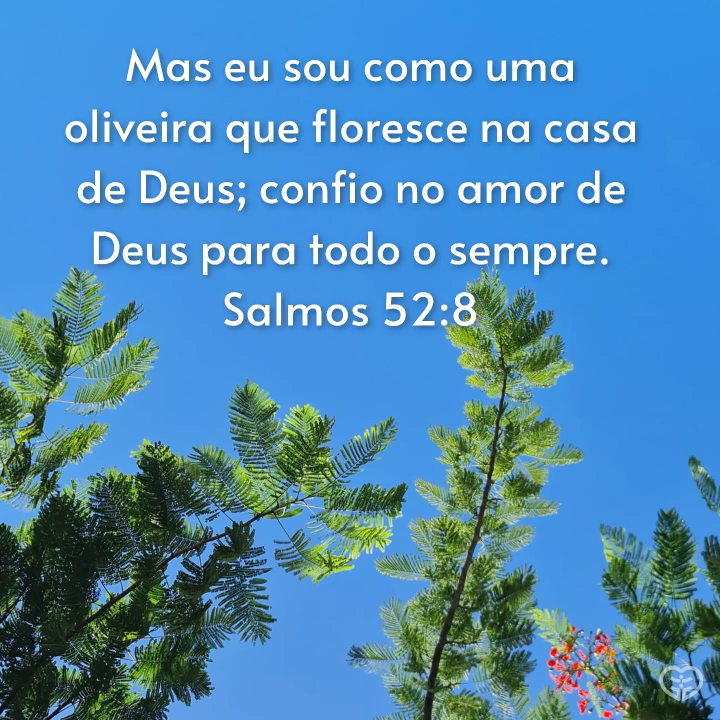 Salmos 52:8