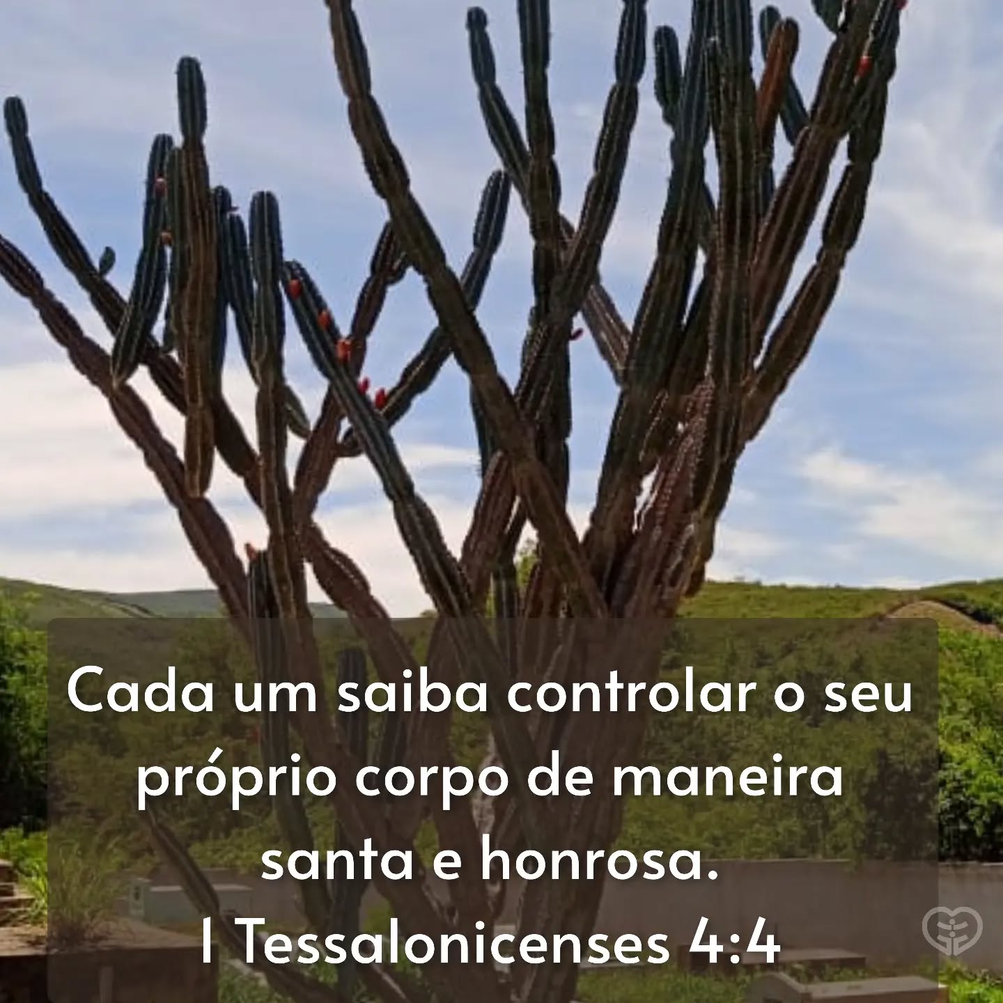 1 Tessalonicenses 4:4