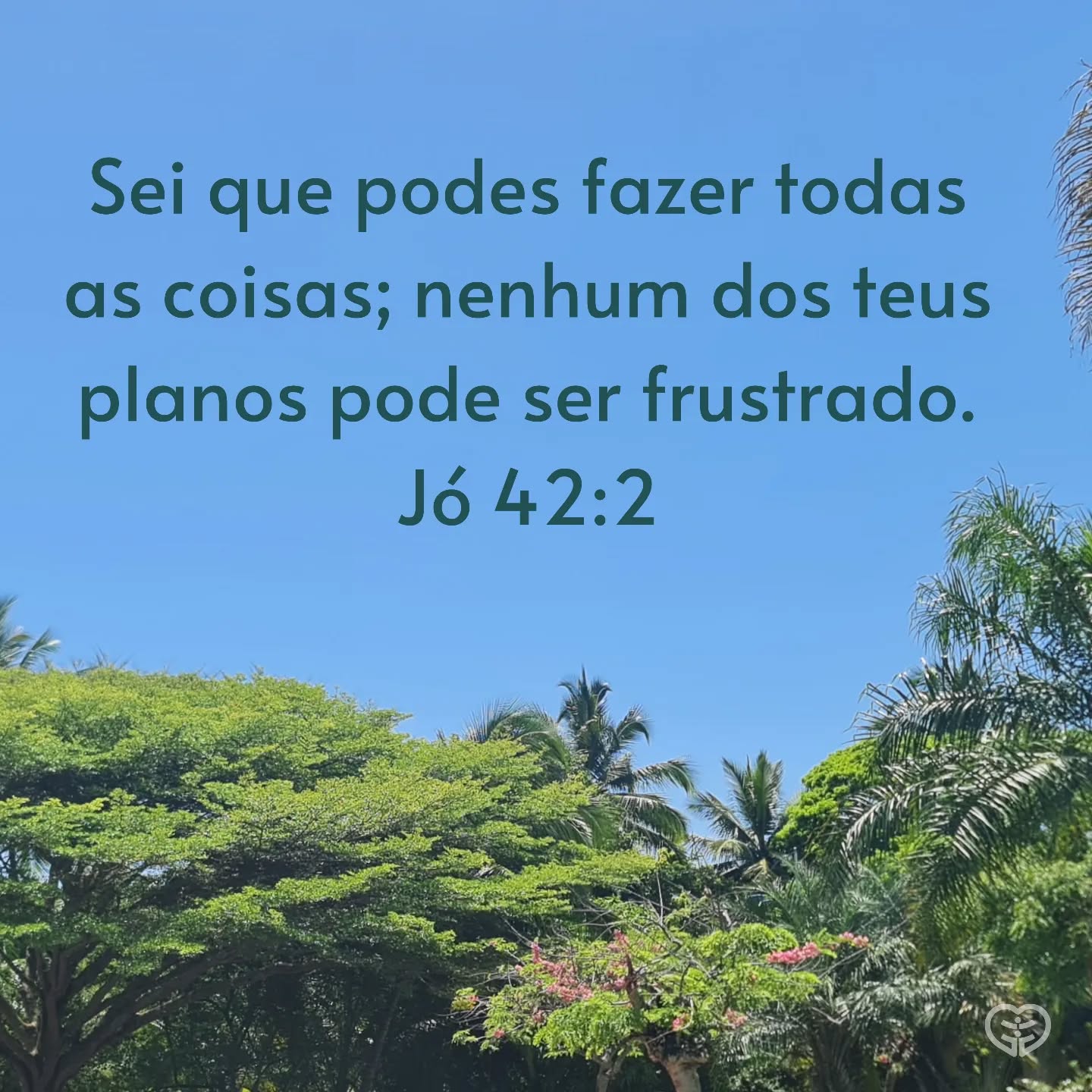 Jó 42:2