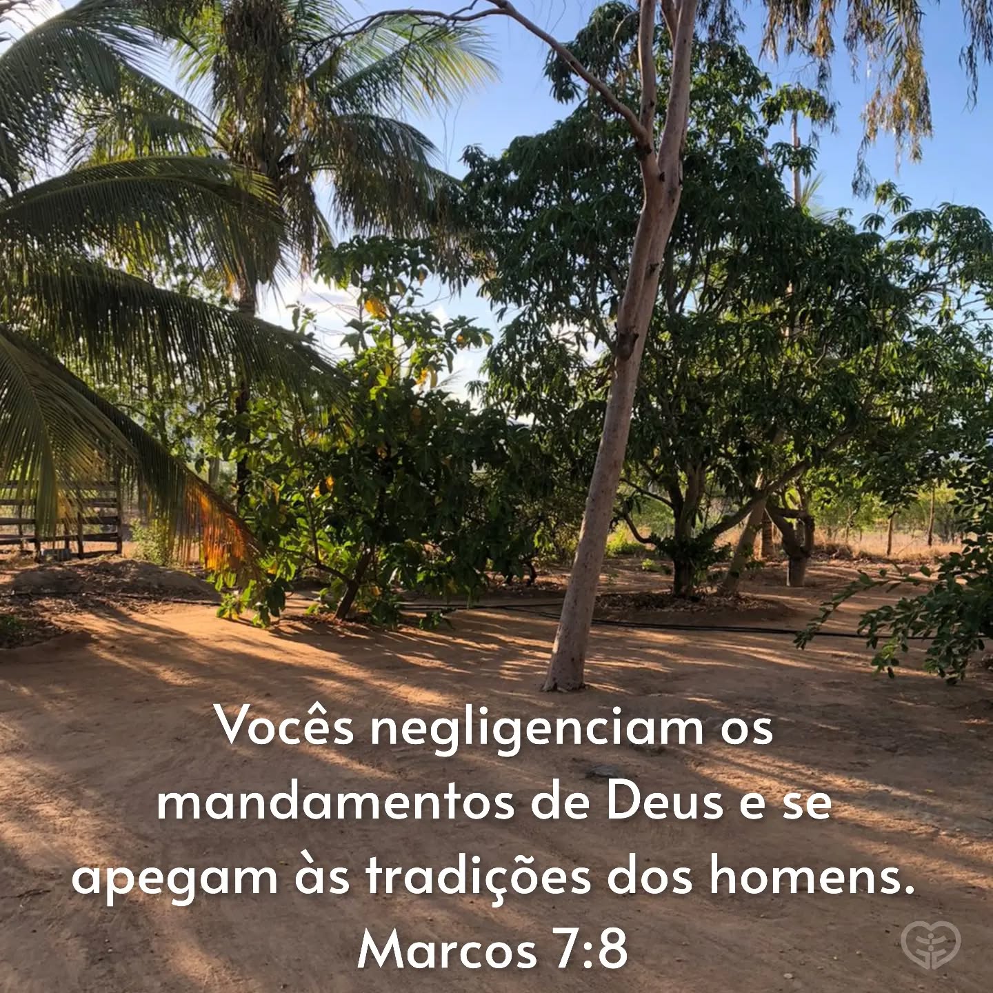 Marcos 7:8
