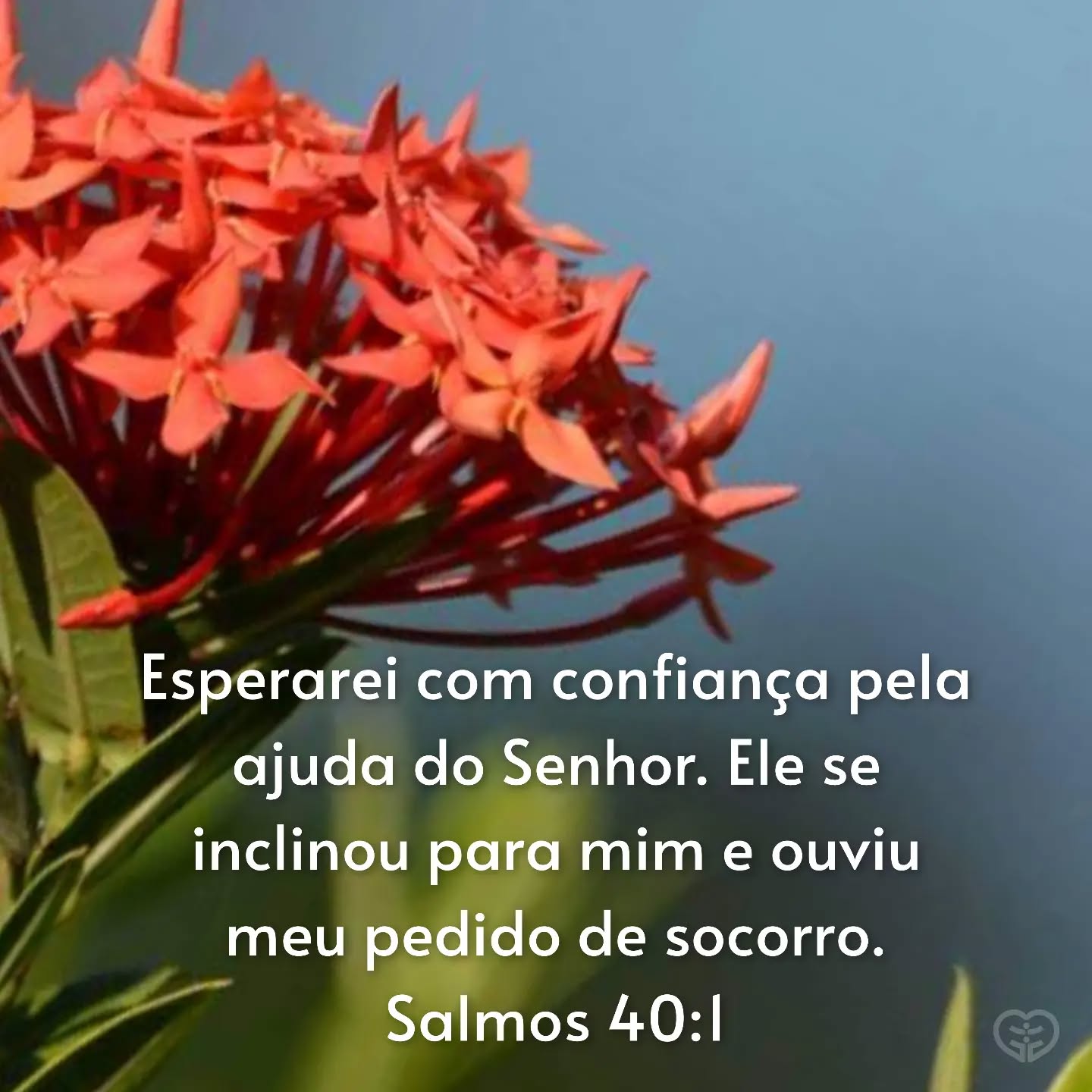 Salmos 40:1