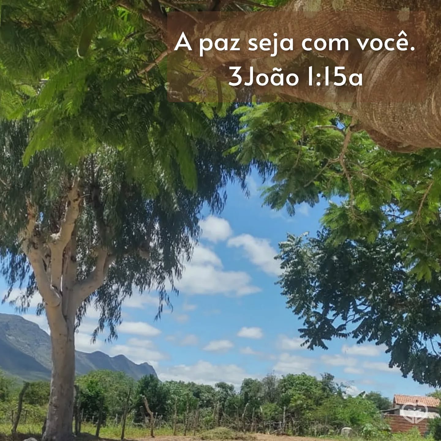Palavra para 14 de março de 2024