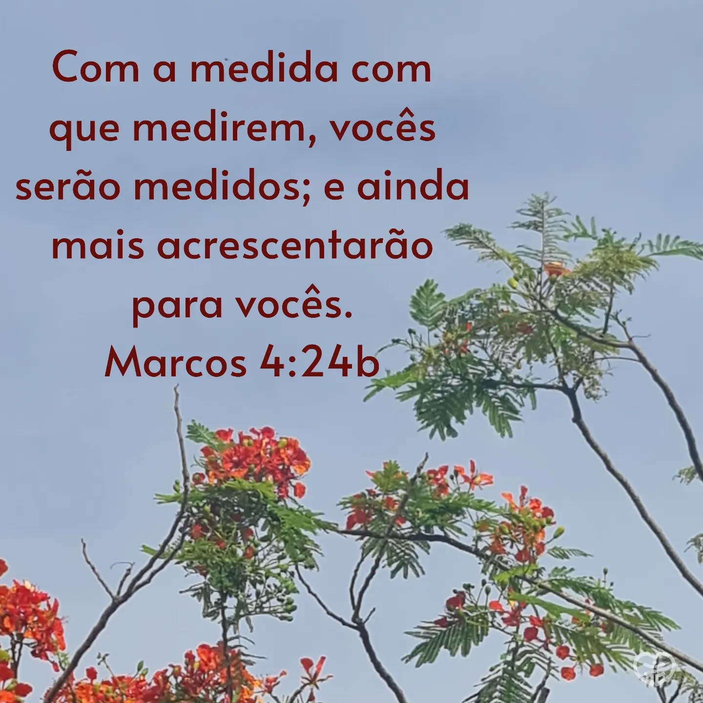 Palavra para 7 de abril de 2024