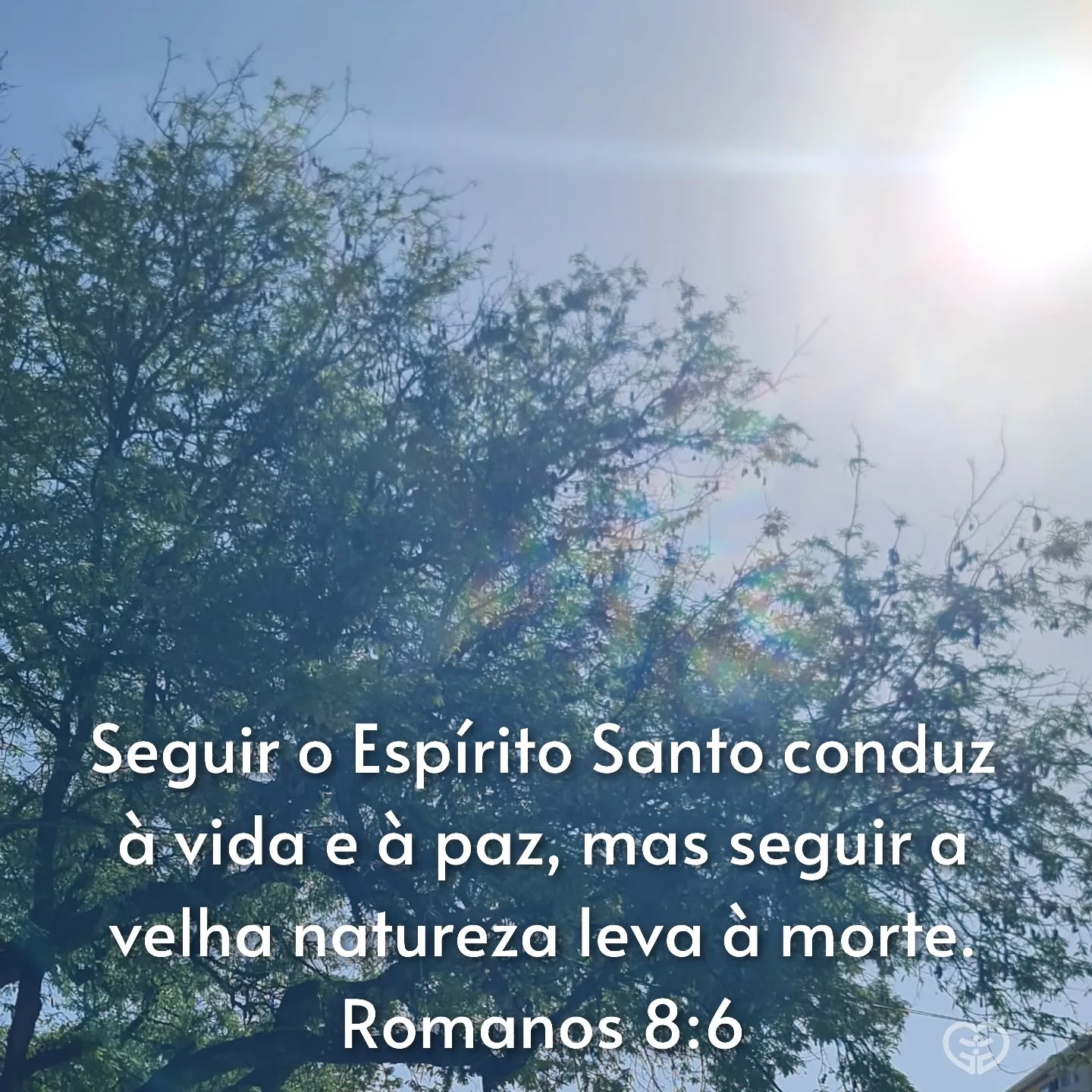 Romanos 8:6