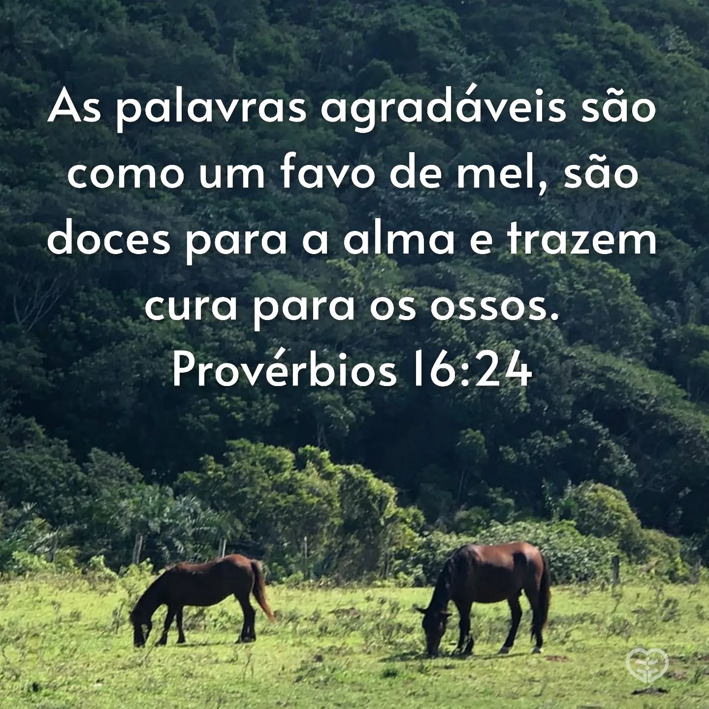 Provérbios 16:24