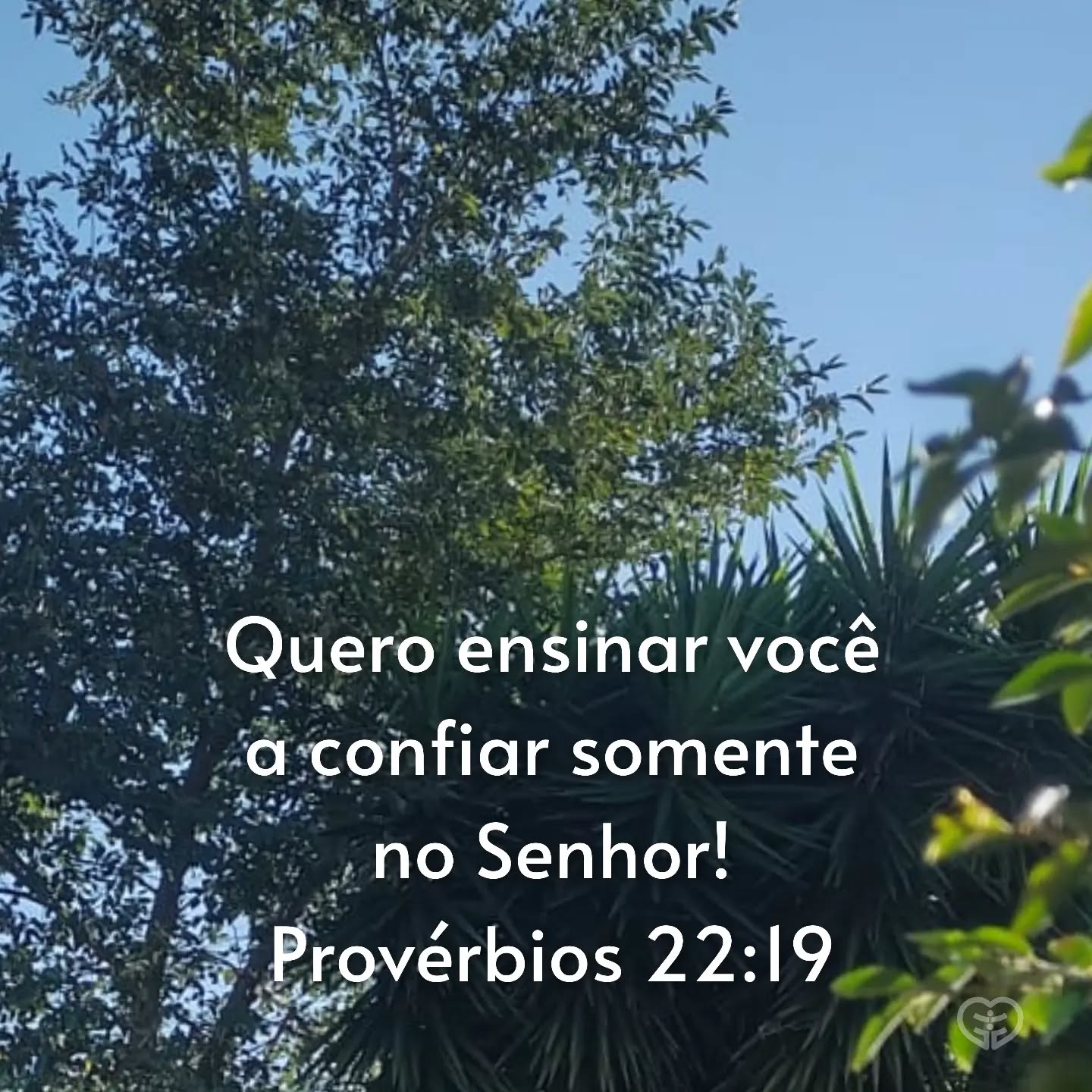 Provérbios 22:19