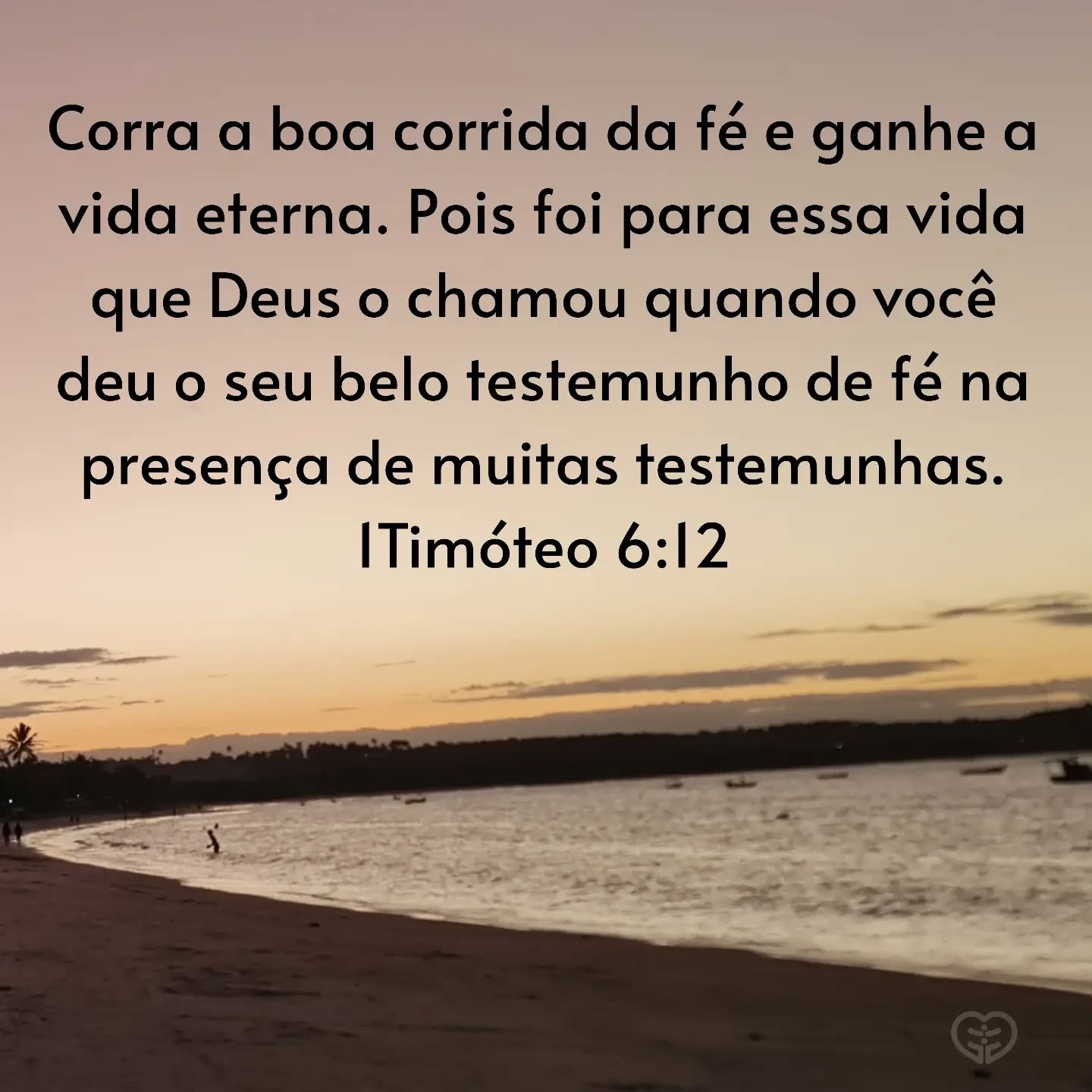 1Timóteo 6:12