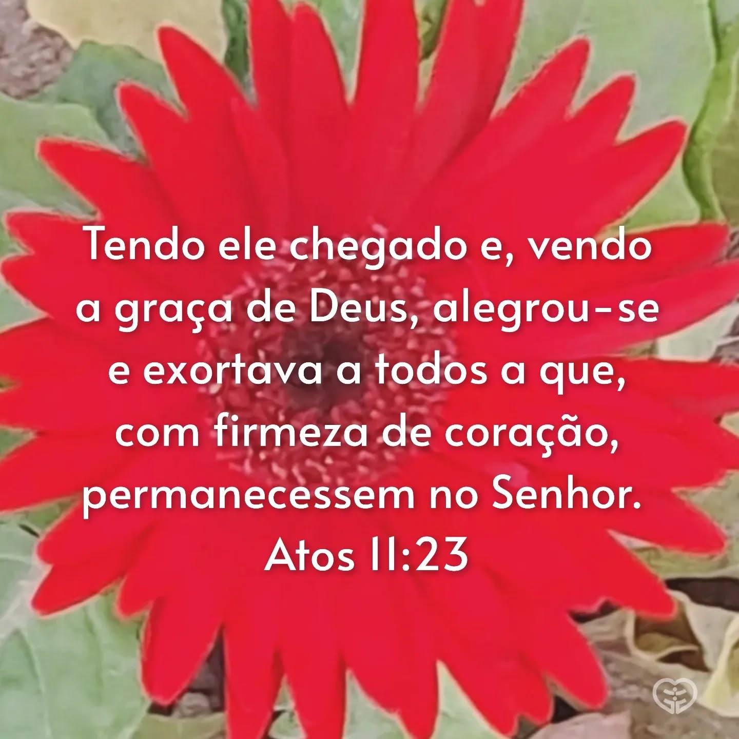 Atos 11:23