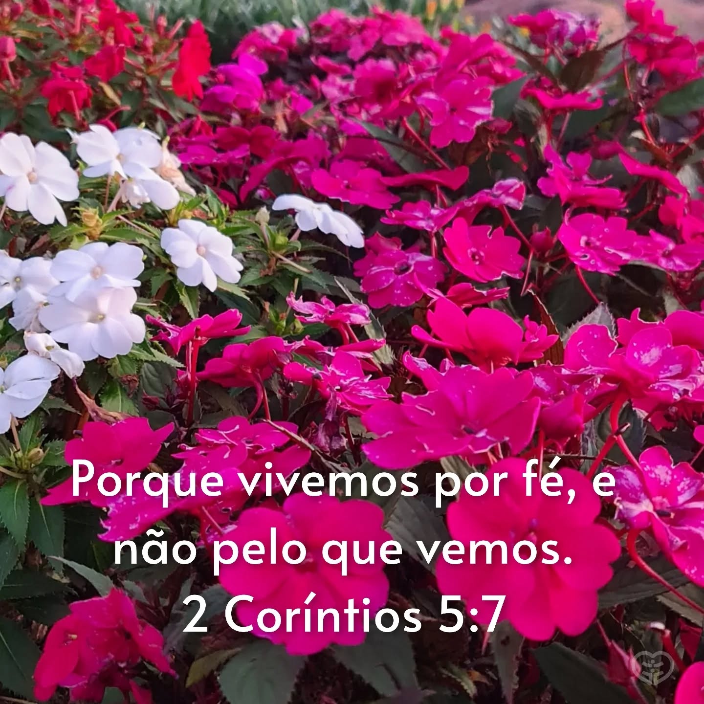 2 Coríntios 5:7