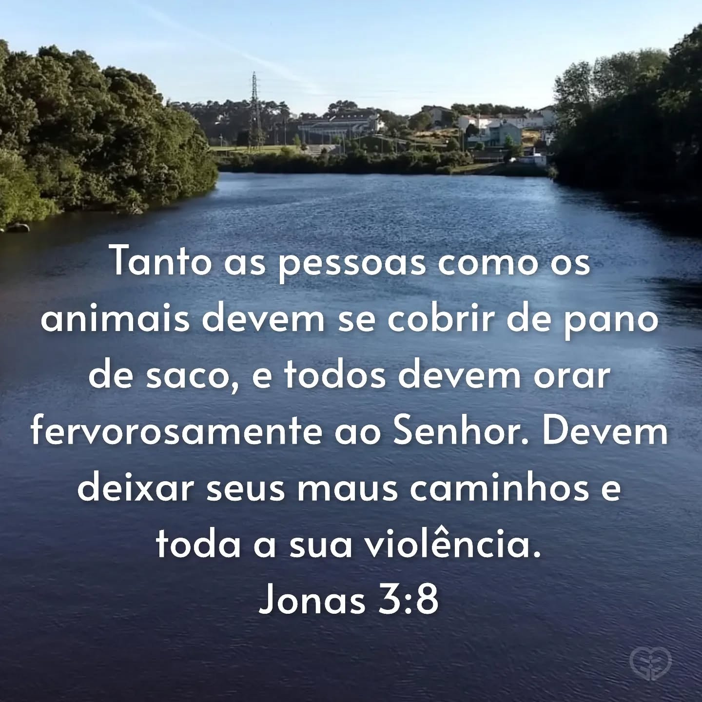 Jonas 3:8