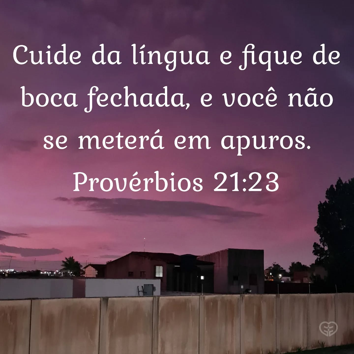 Provérbios 21:23