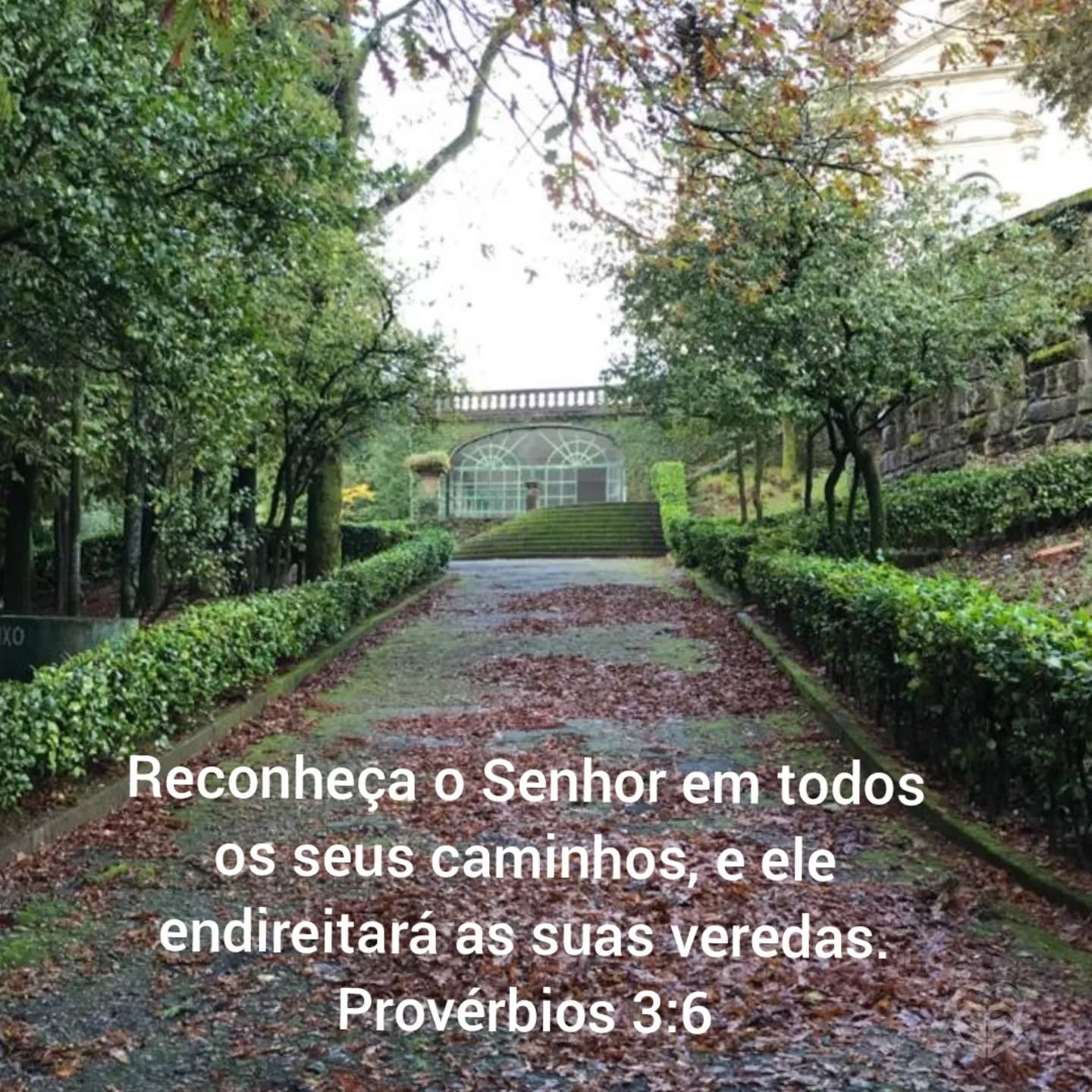 Provérbios 3:6