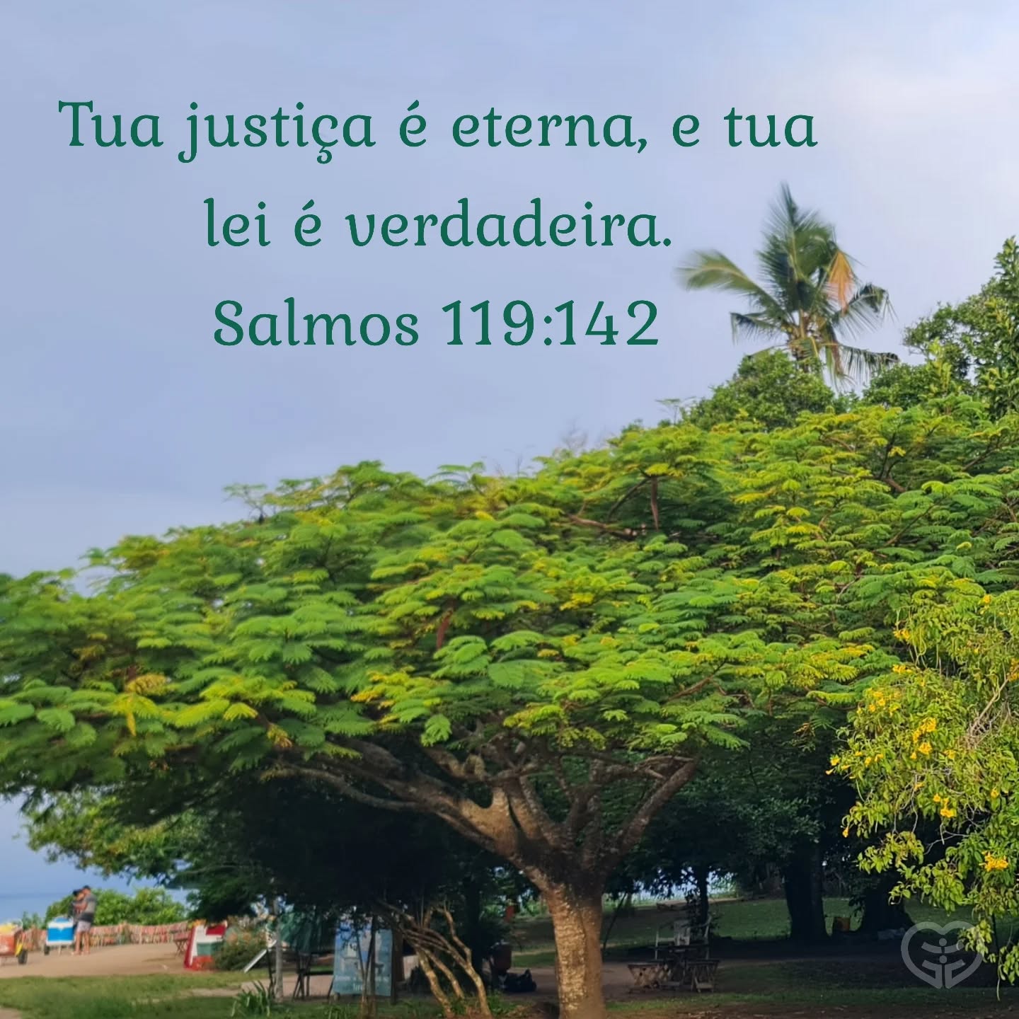 Salmos 119:142