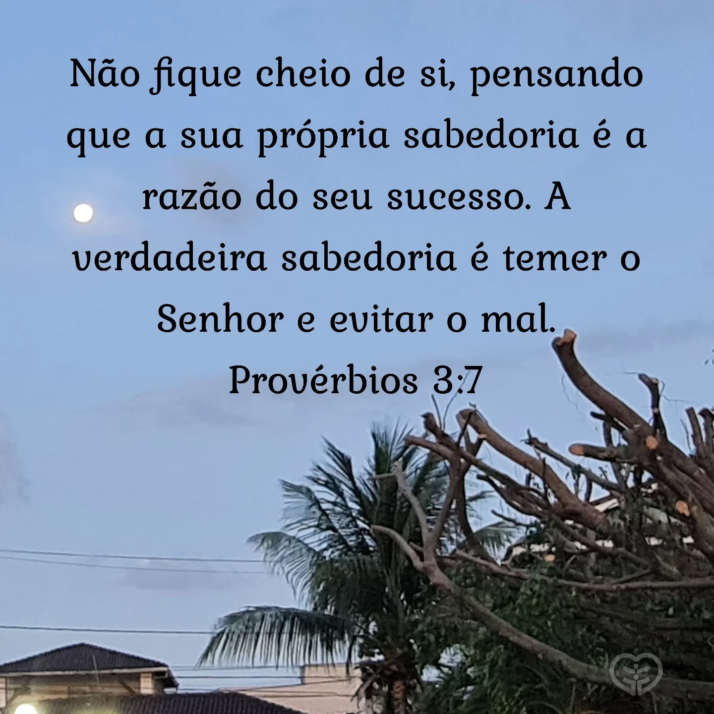 Provérbios 3:7