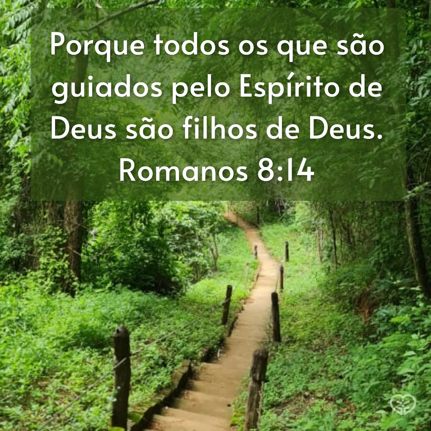 Romanos 8:14