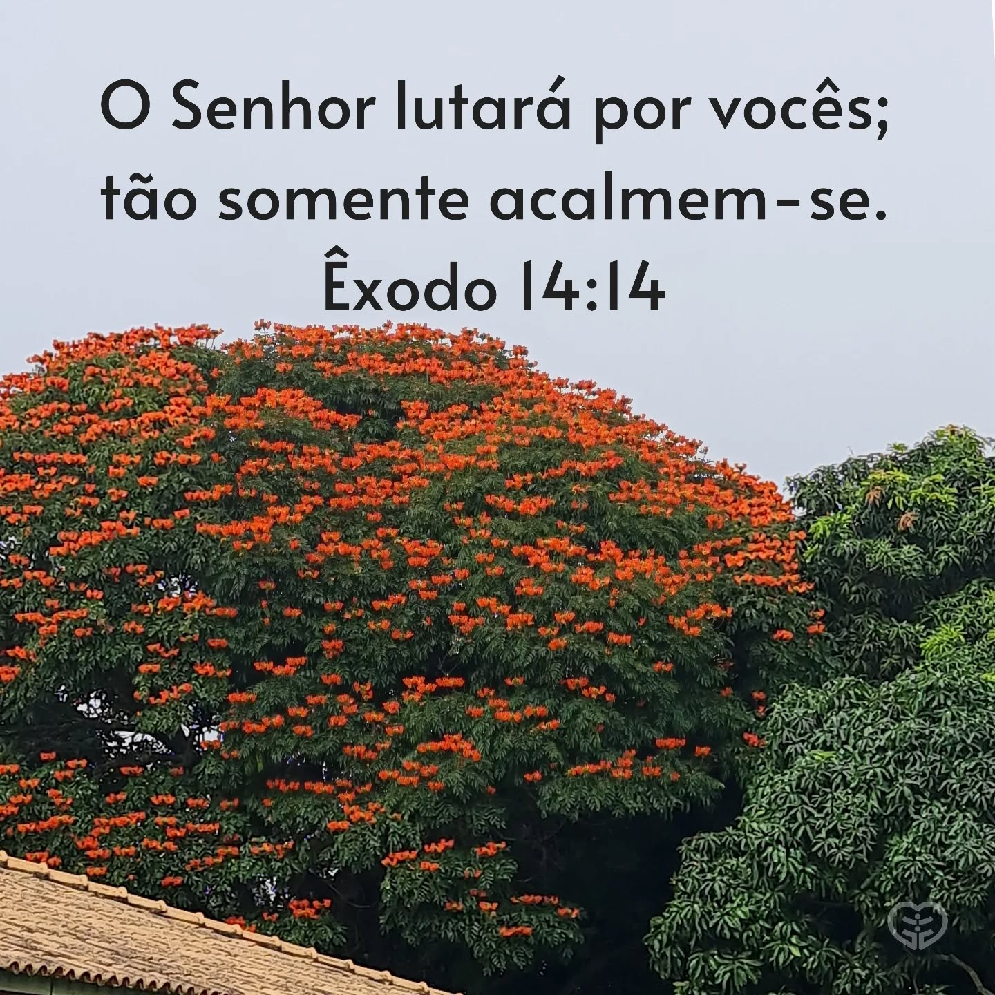 Êxodo 14:14