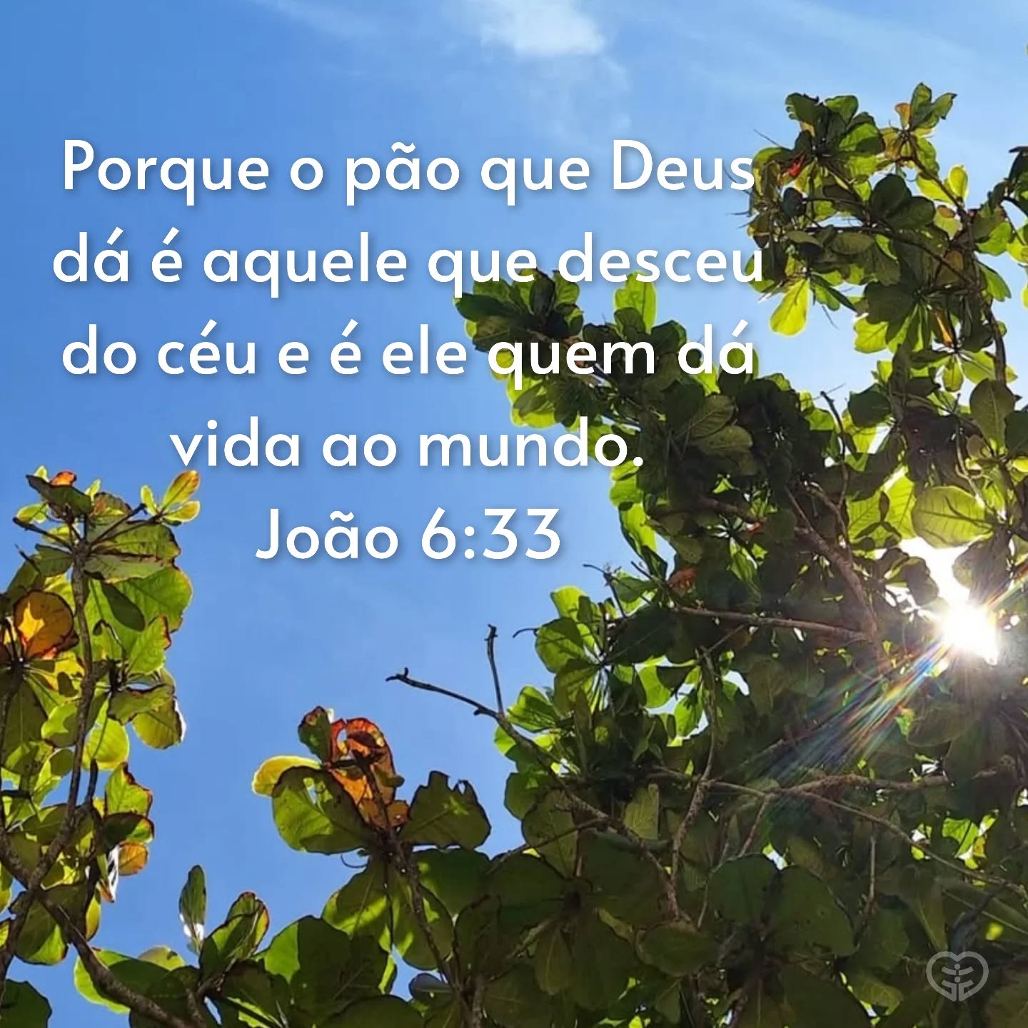 João 6:33