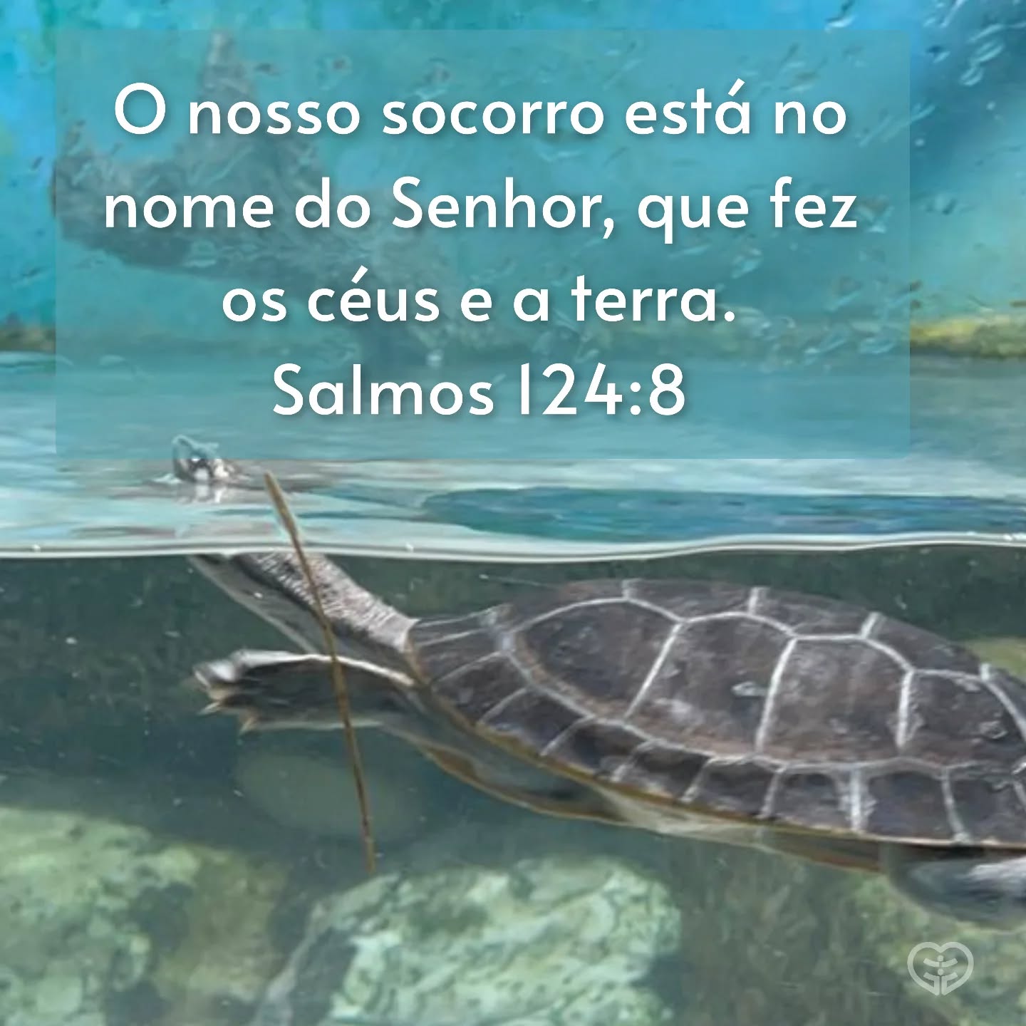 Salmos 124:8