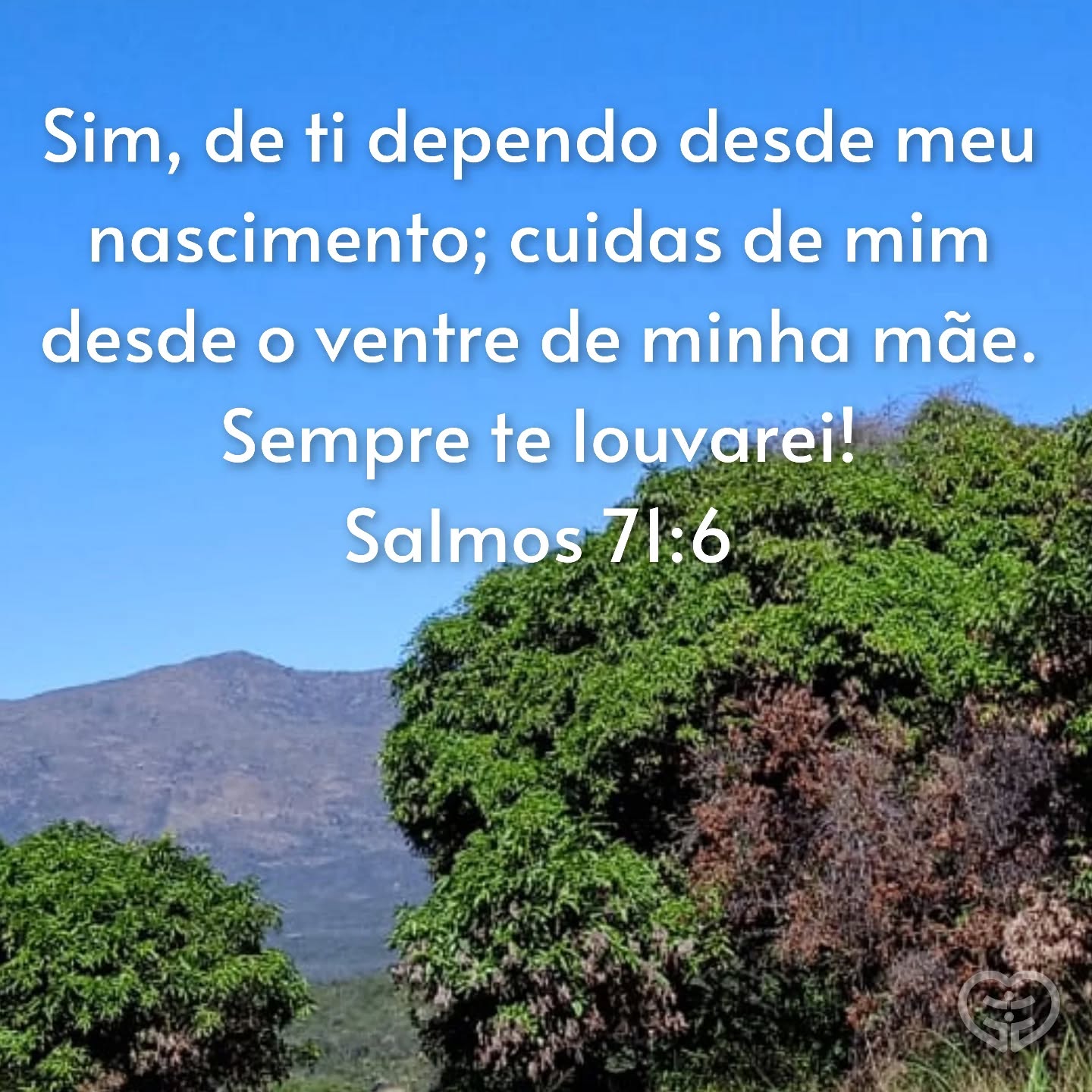 Salmos 71:6