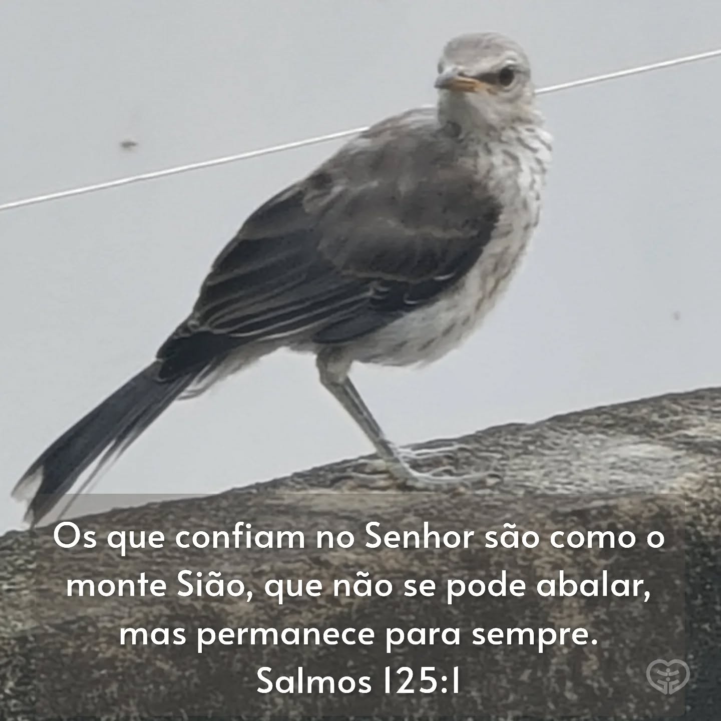 Salmos 125:1