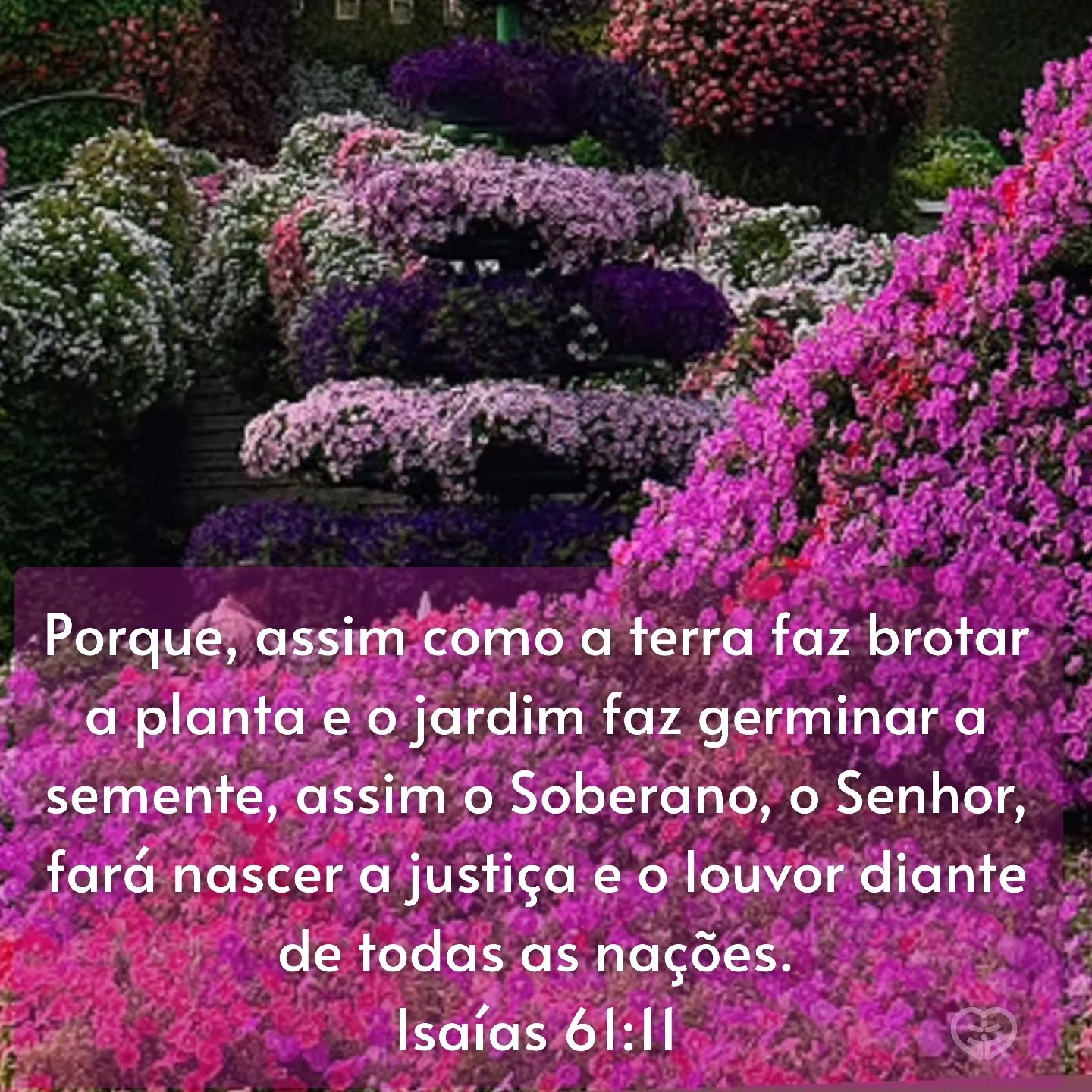 Isaías 61:11