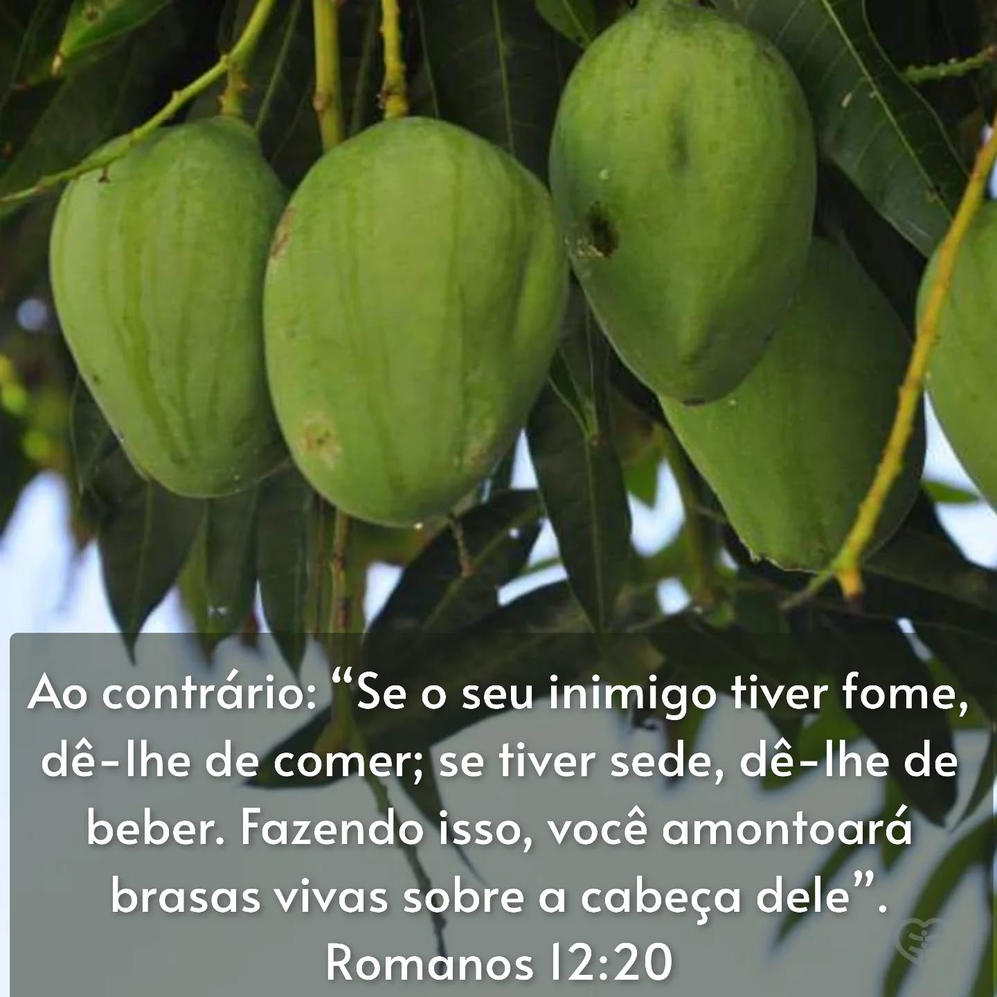 Romanos 12:20