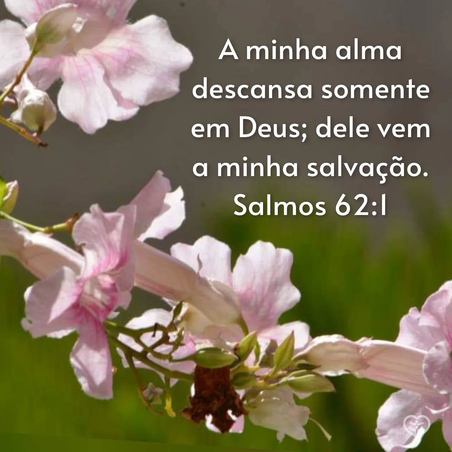 Salmos 62:1