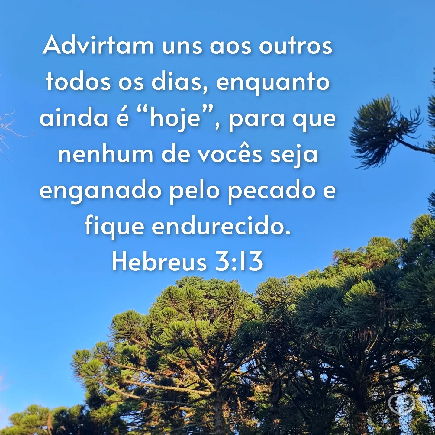 Hebreus 3:13