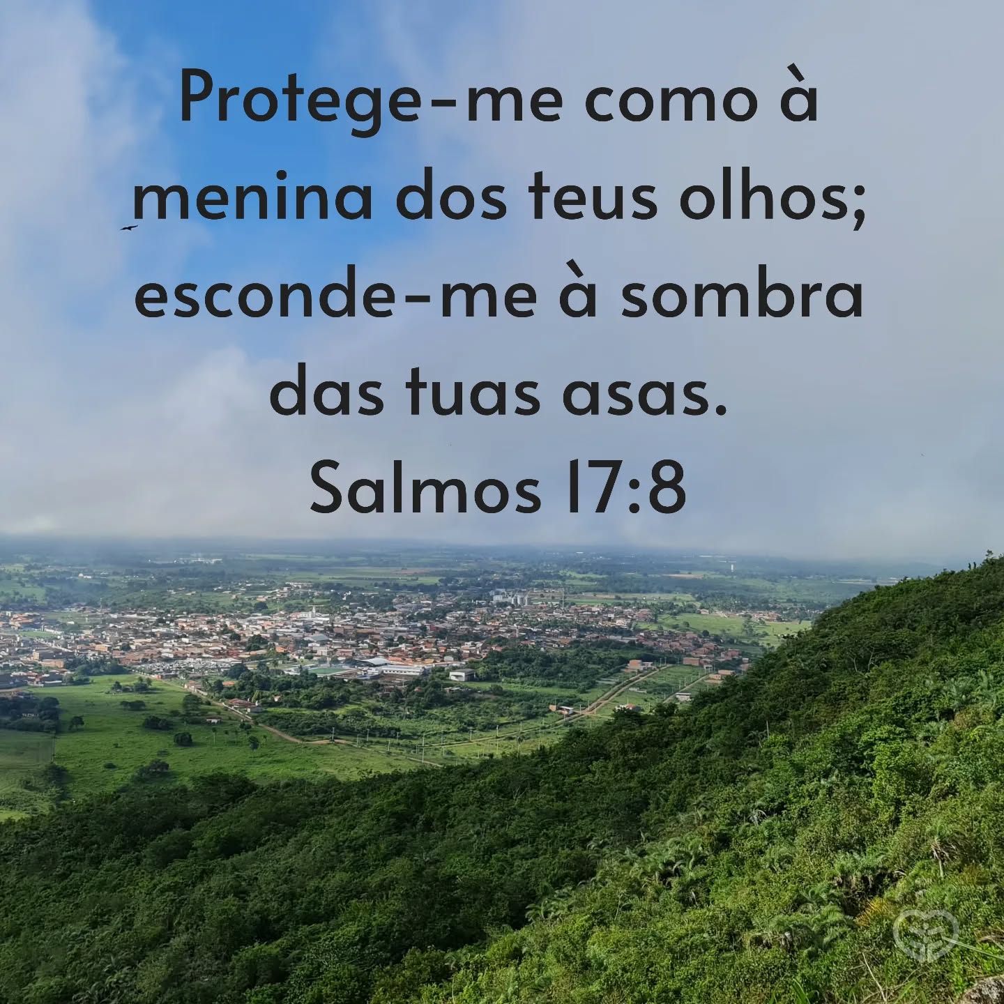 Salmos 17:8